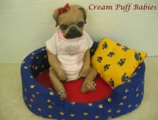 Pug Puppy Dog Doll