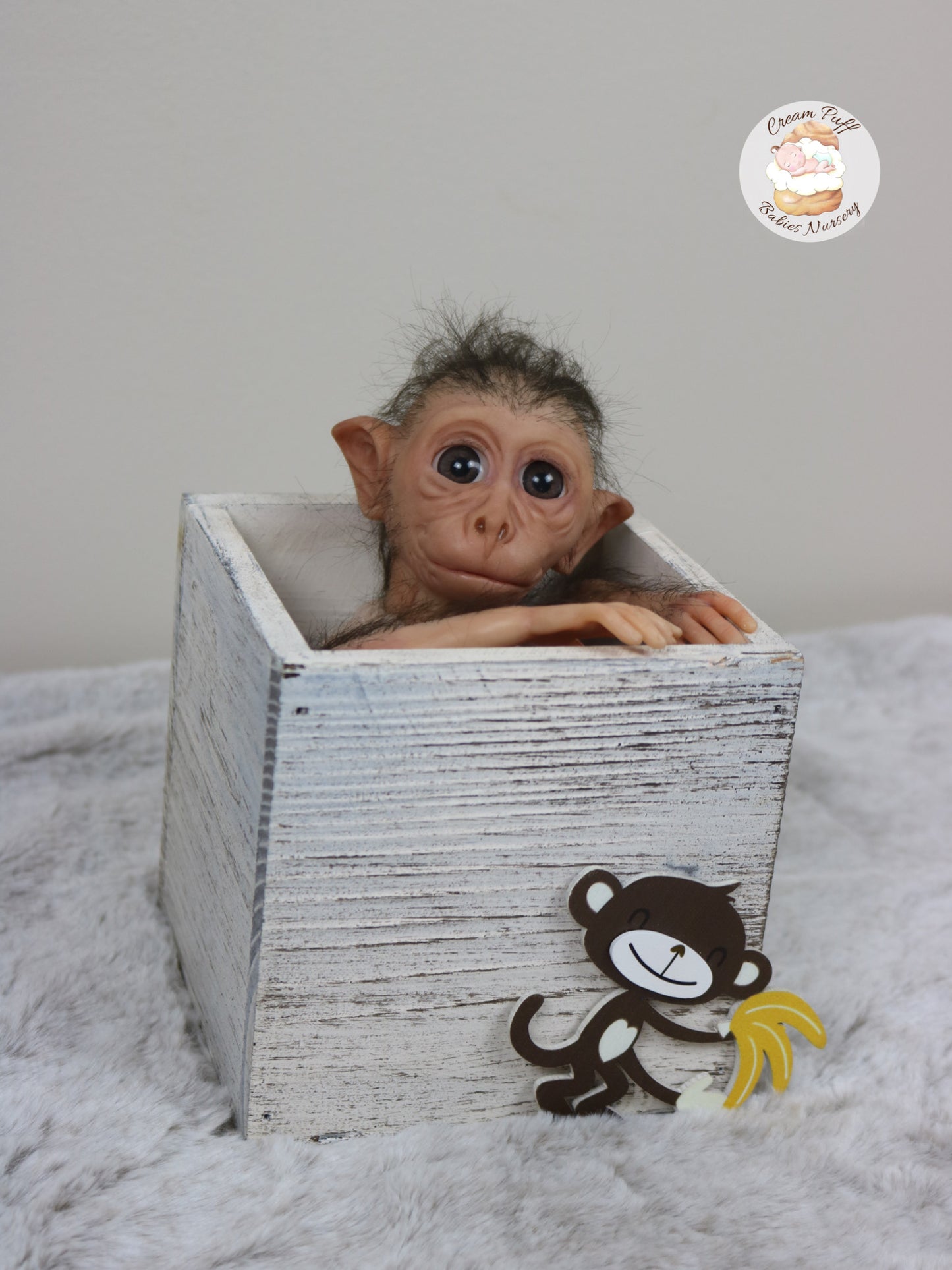 Baby Monkey Maki