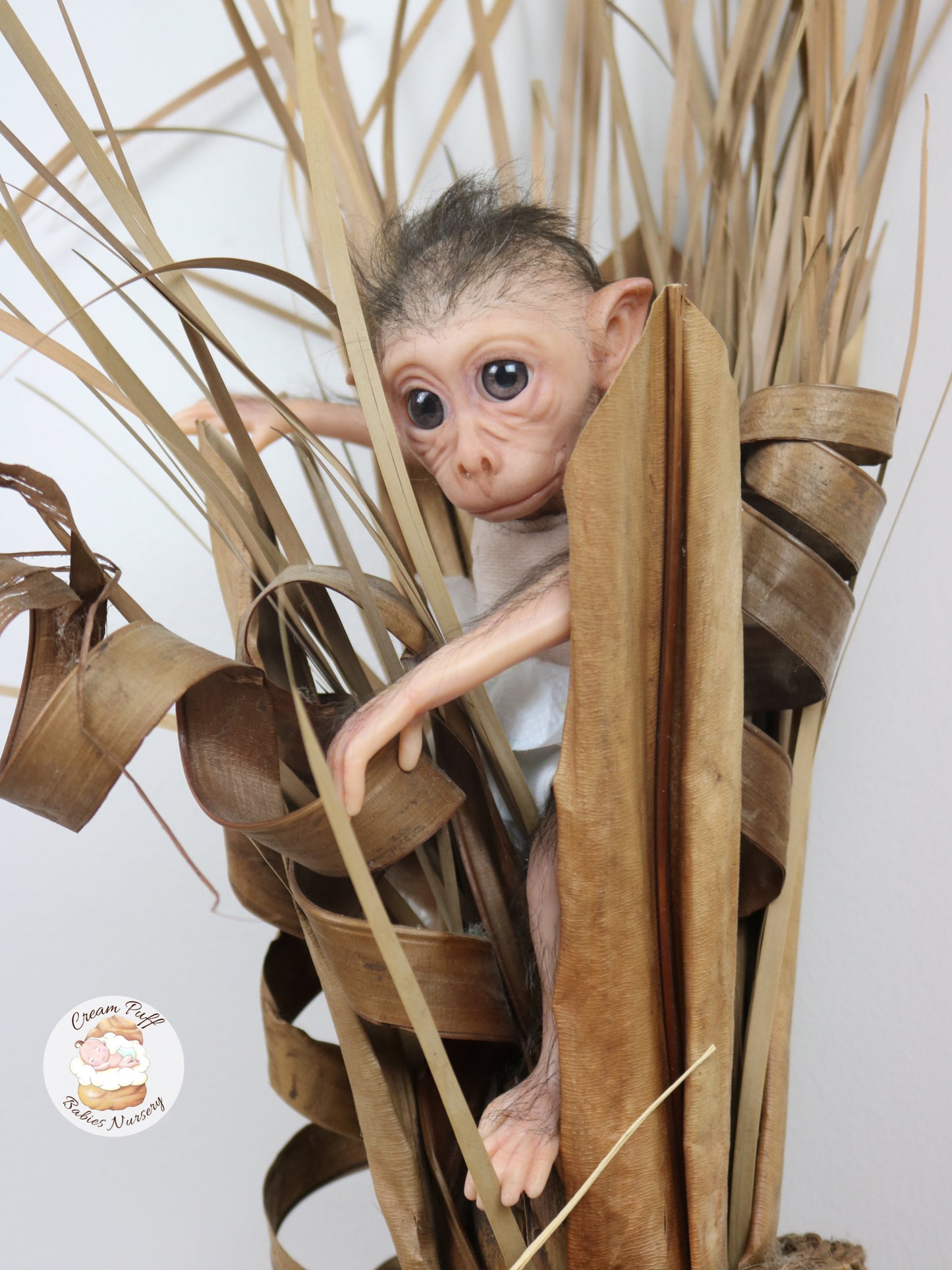 Baby Monkey Maki