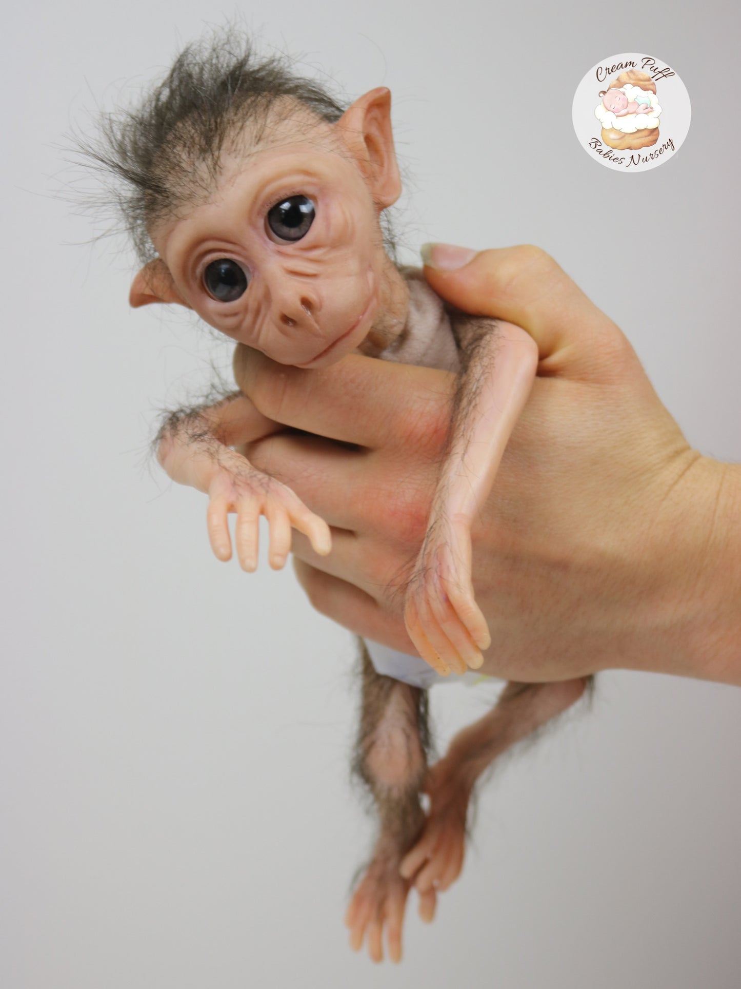 Baby Monkey Maki