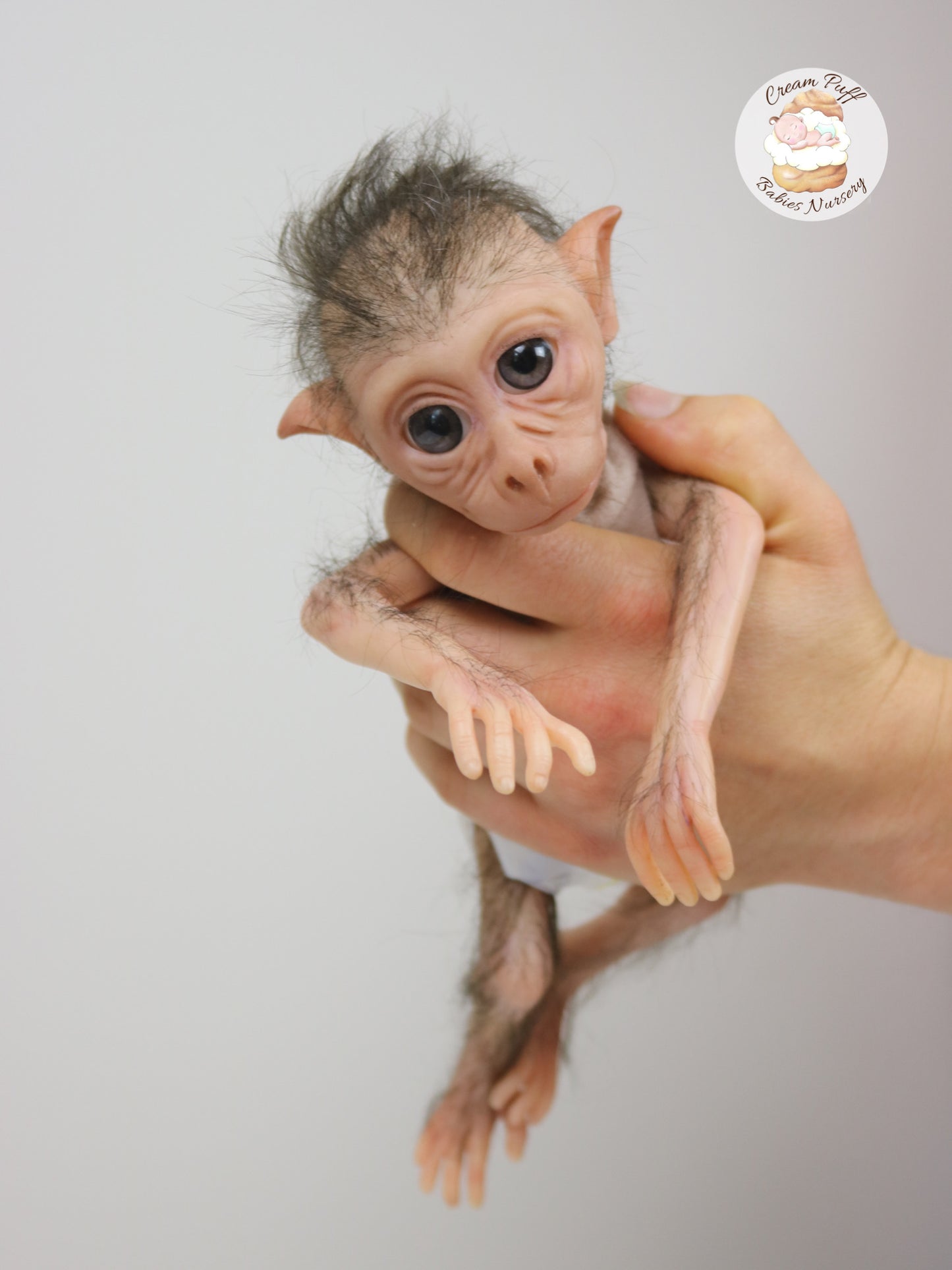 Baby Monkey Maki