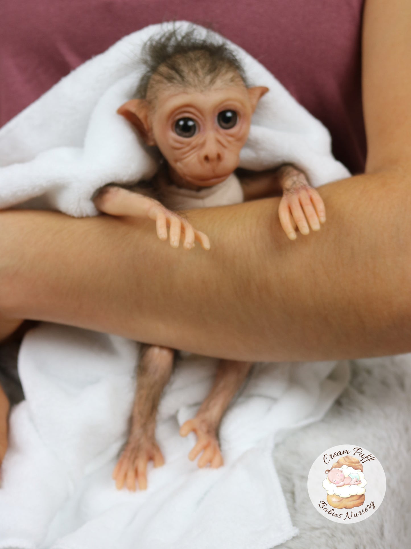 Baby Monkey Maki