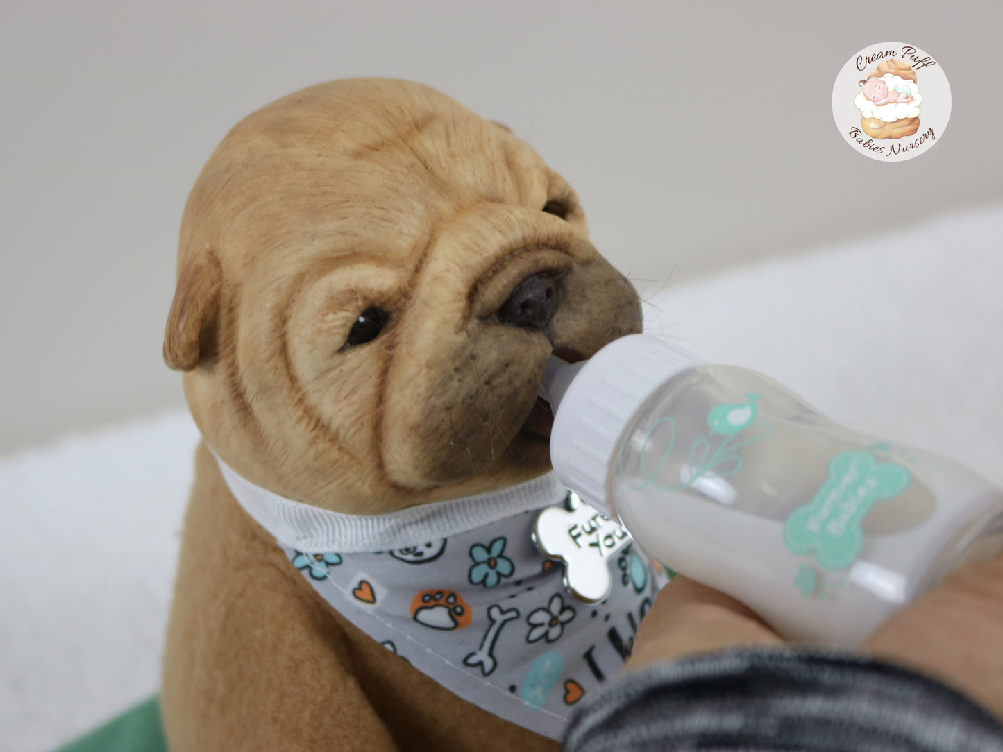 Shar Pei Bulldog Puppy Dog Baby Doll