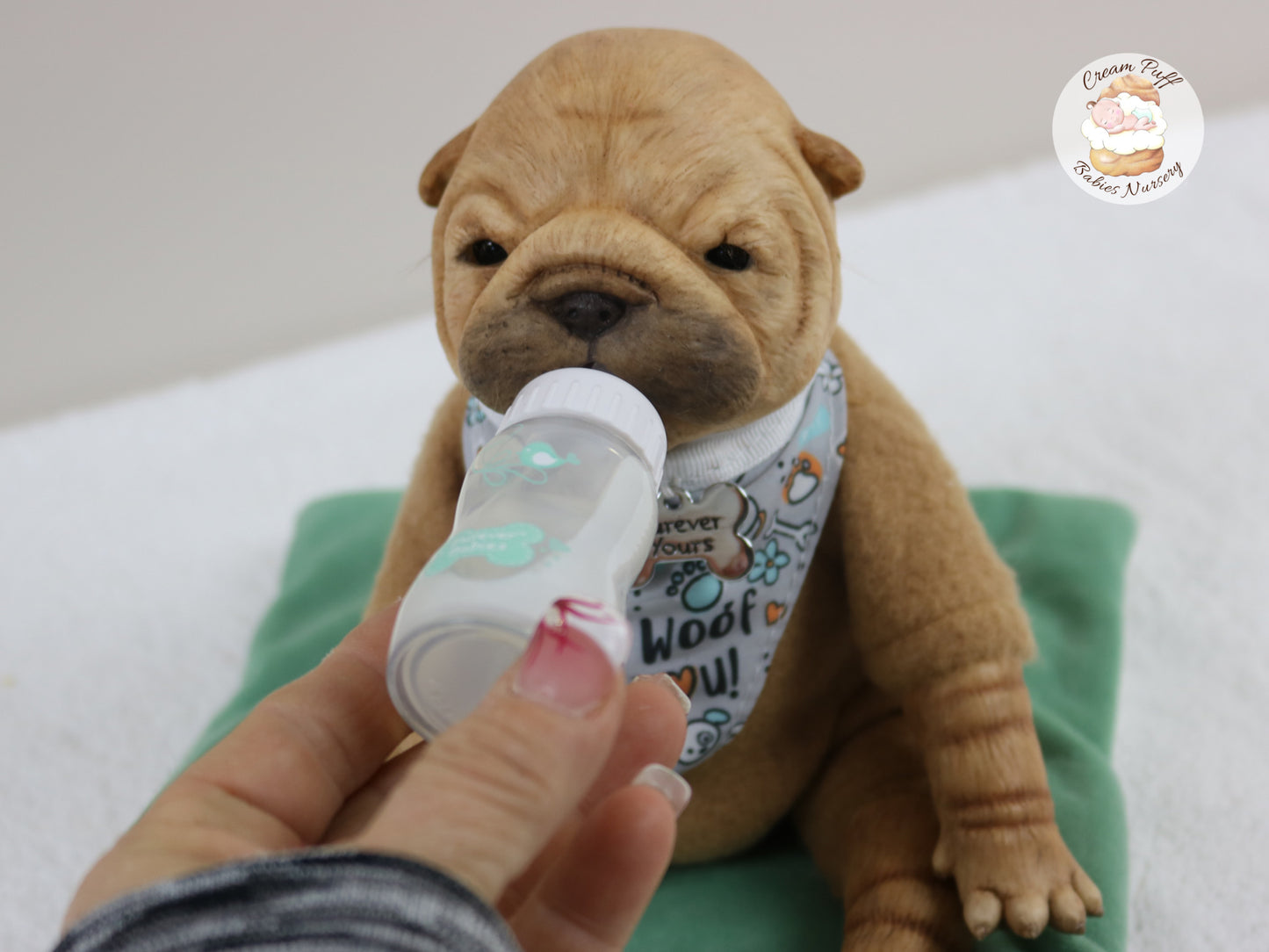 Shar Pei Bulldog Puppy Dog Baby Doll