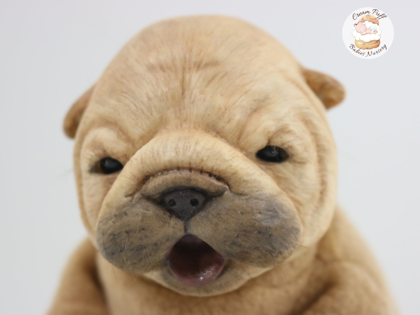 Shar Pei  Bulldog Puppy Dog Baby Doll