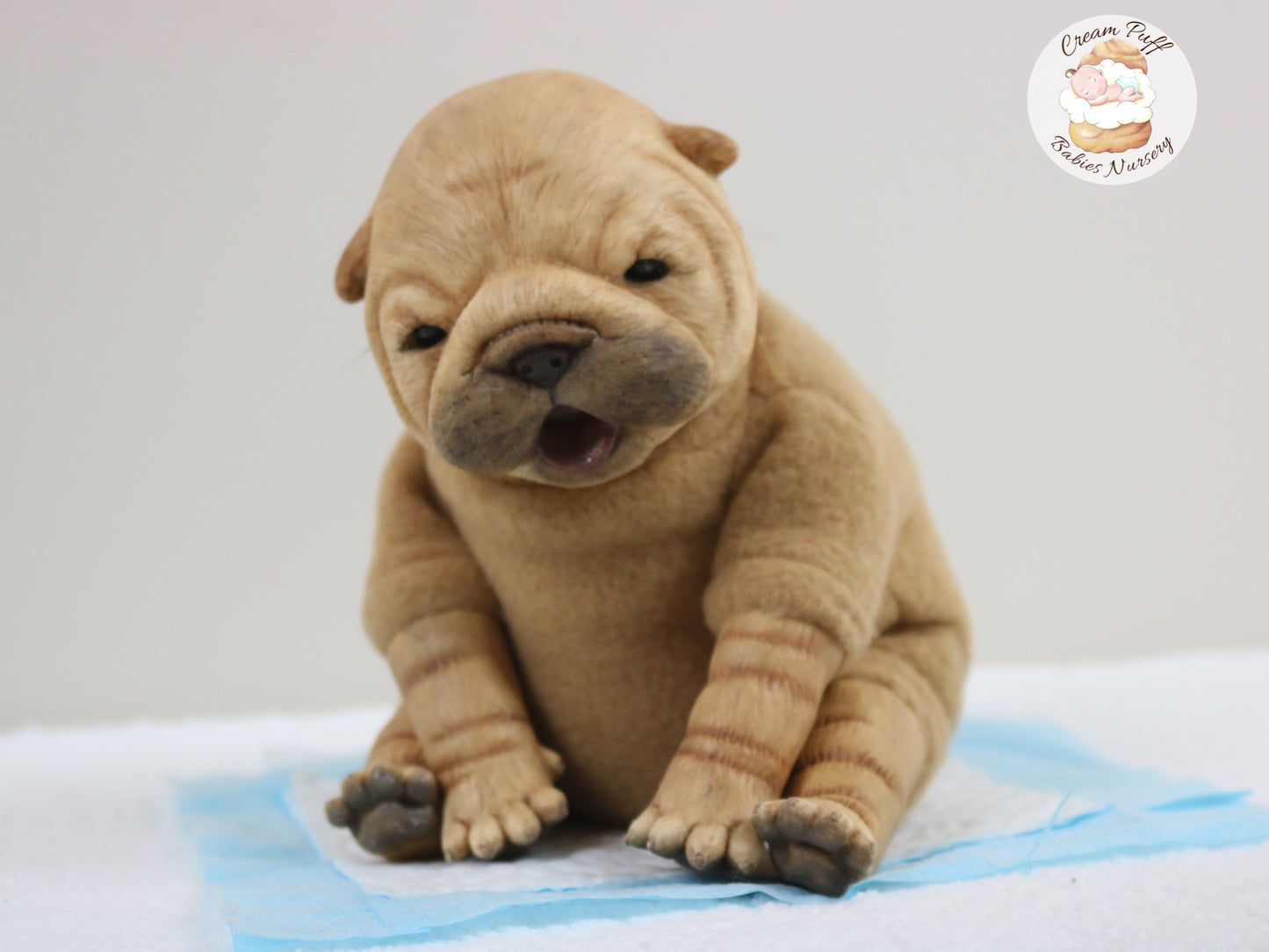 Shar Pei  Bulldog Puppy Dog Baby Doll