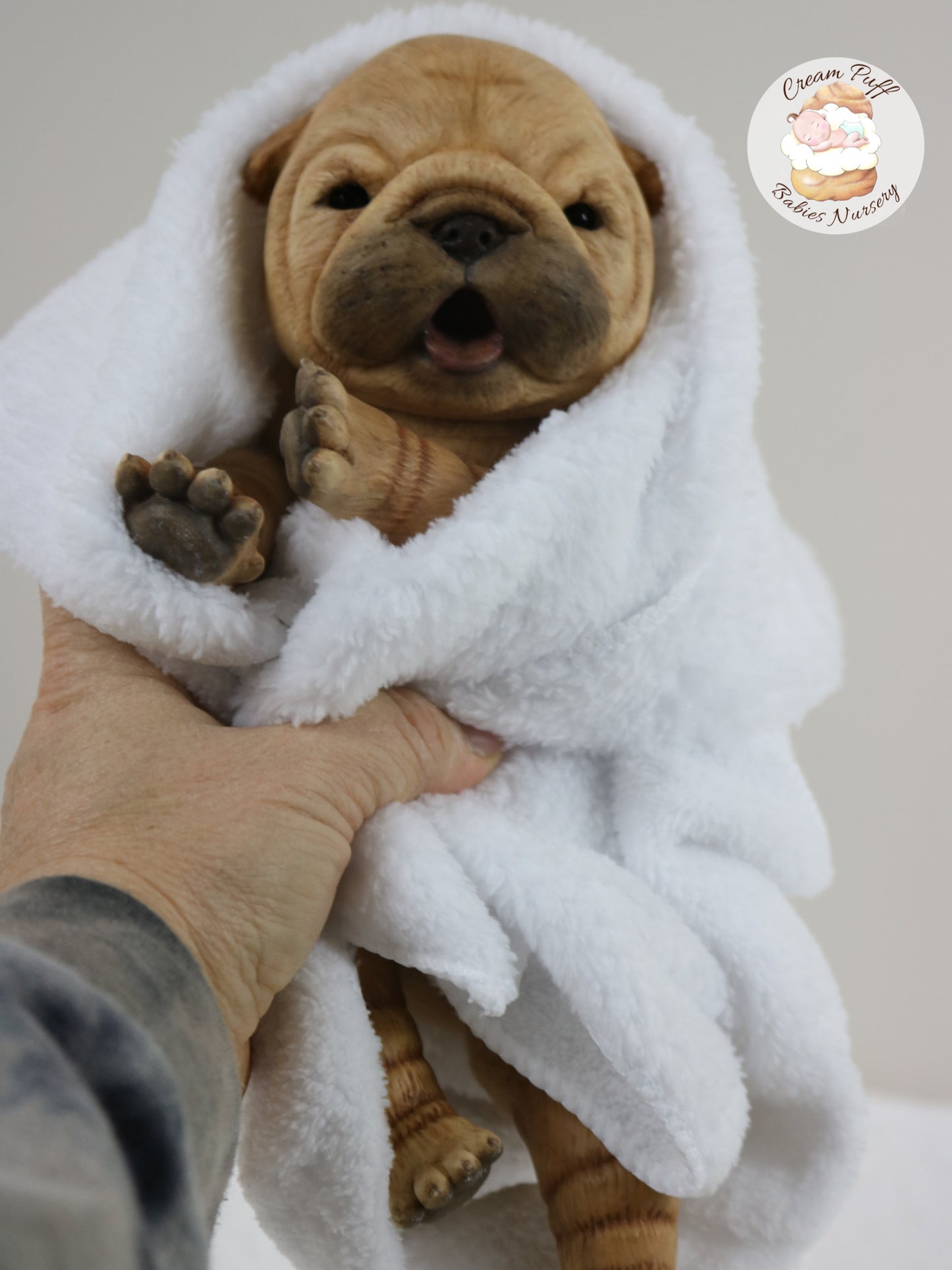 Shar Pei  Bulldog Puppy Dog Baby Doll