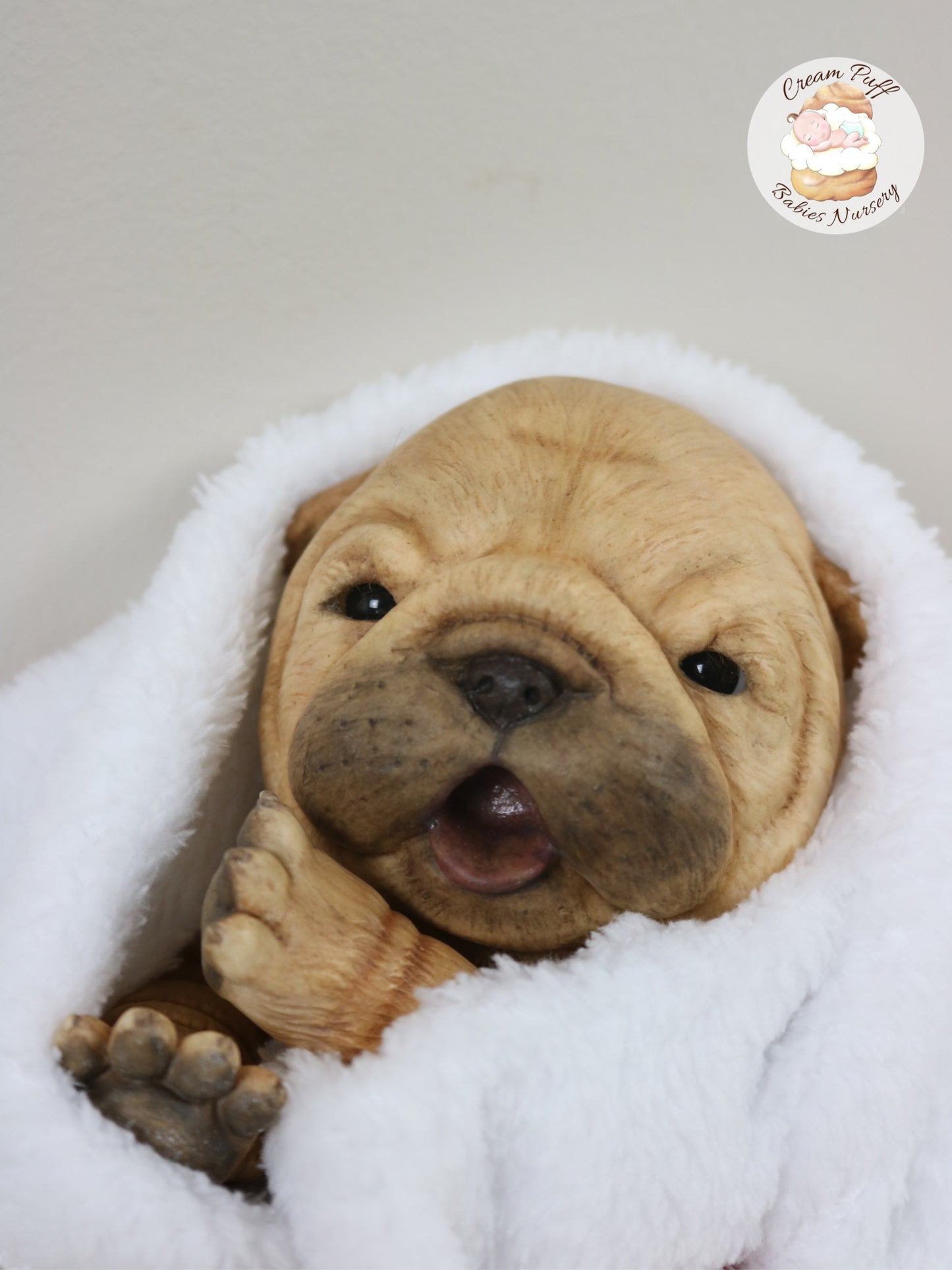 Shar Pei  Bulldog Puppy Dog Baby Doll