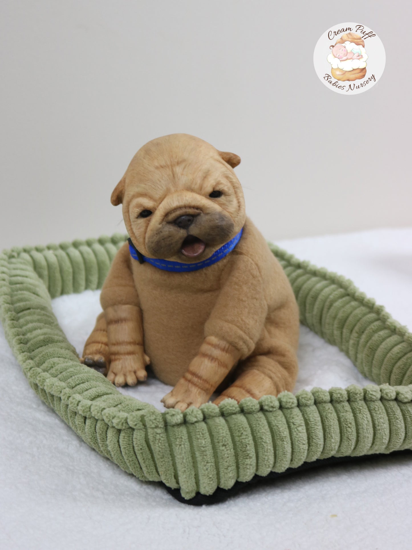 Shar Pei Bulldog Puppy Dog Baby Doll