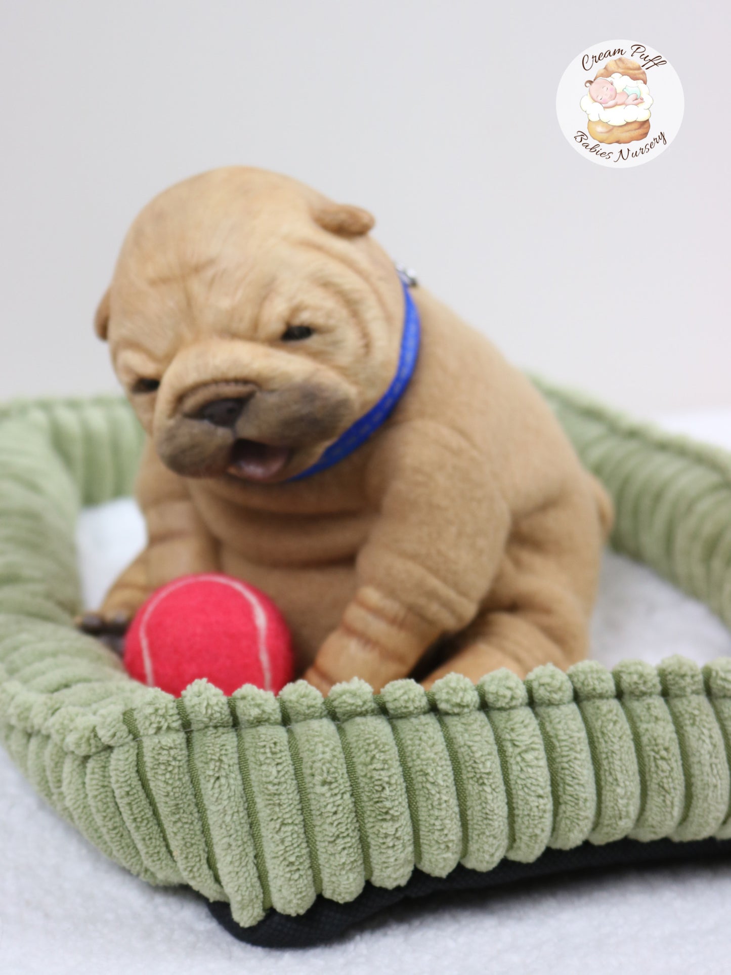 Shar Pei Bulldog Puppy Dog Baby Doll