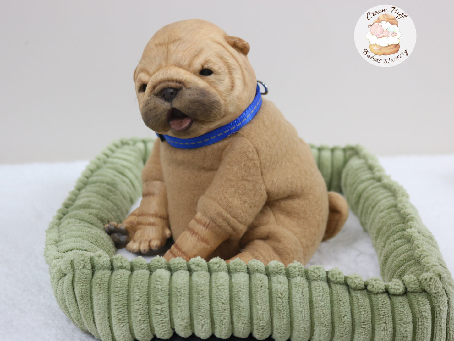 Shar Pei Bulldog Puppy Dog Baby Doll