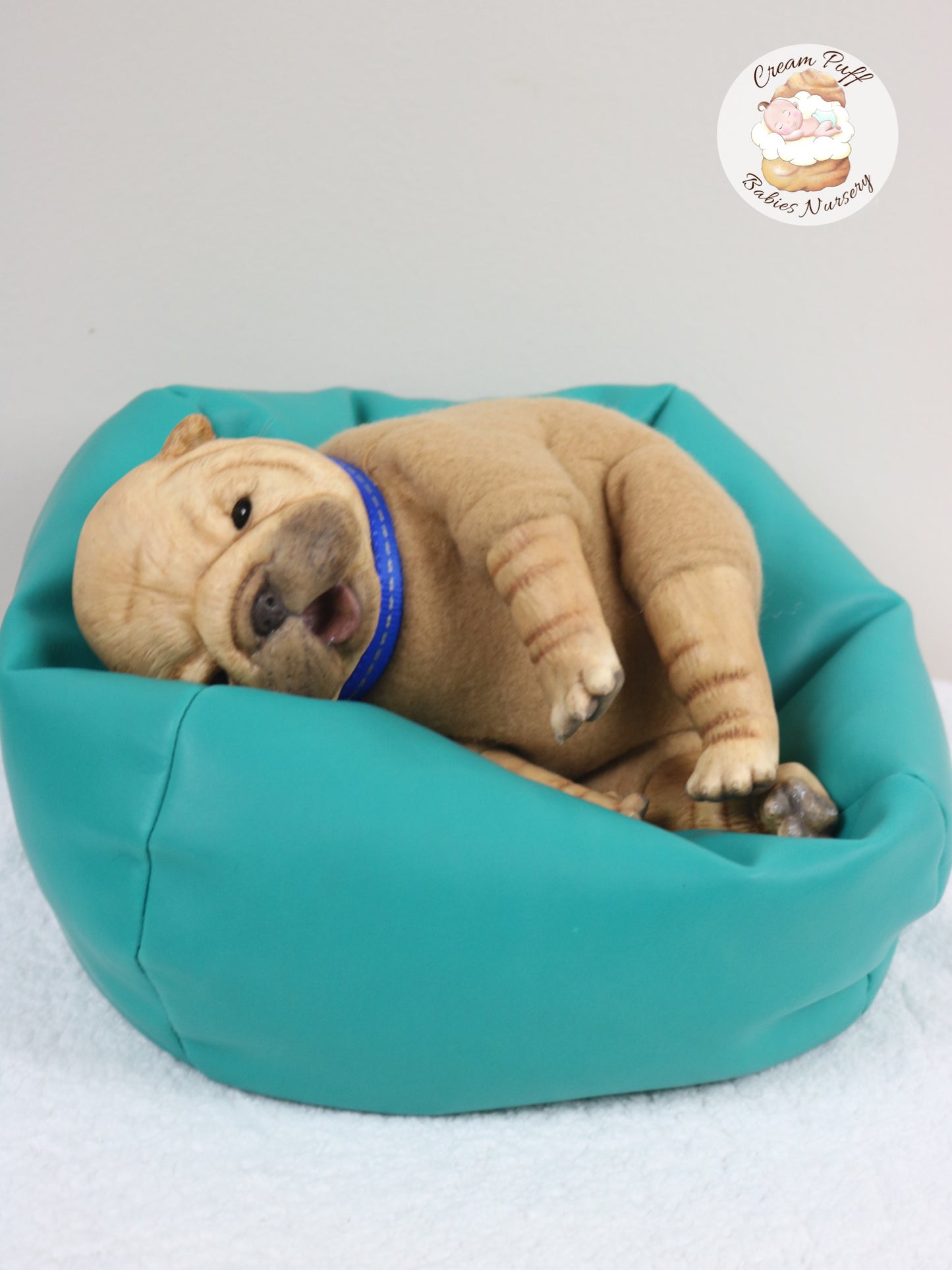 Shar Pei  Bulldog Puppy Dog Baby Doll