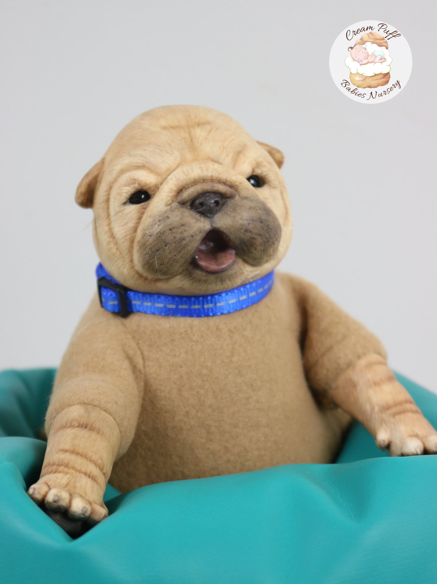 Shar Pei  Bulldog Puppy Dog Baby Doll