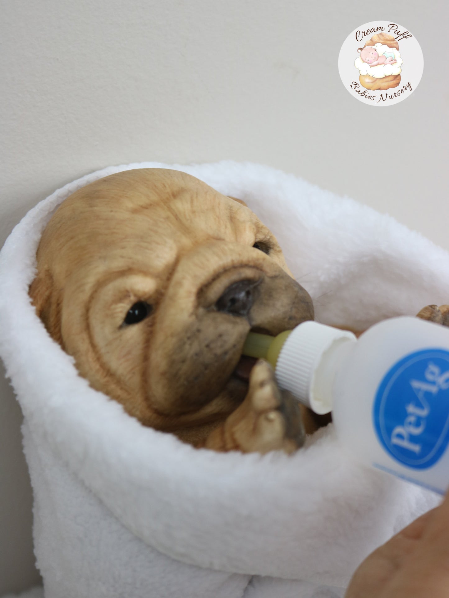 Shar Pei Bulldog Puppy Dog Baby Doll