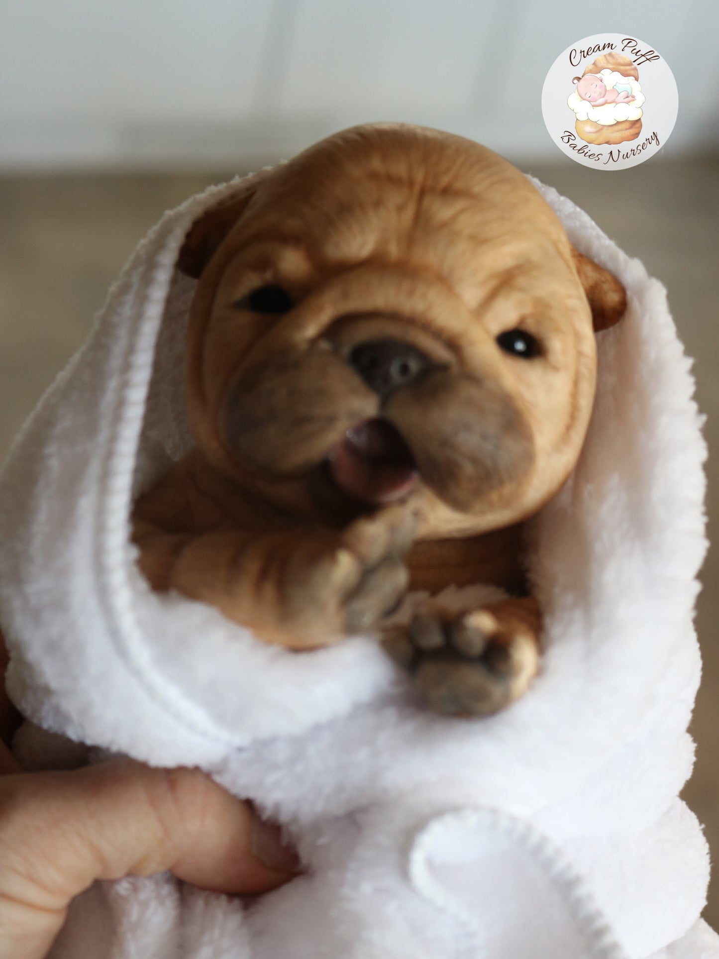 Shar Pei  Bulldog Puppy Dog Baby Doll