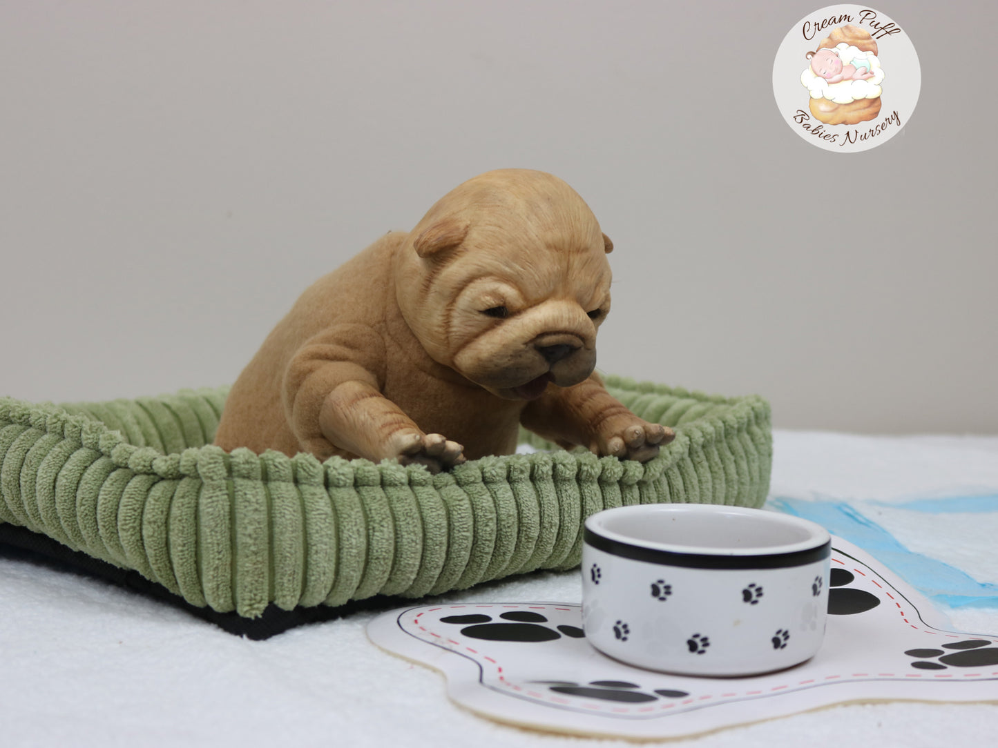 Shar Pei  Bulldog Puppy Dog Baby Doll