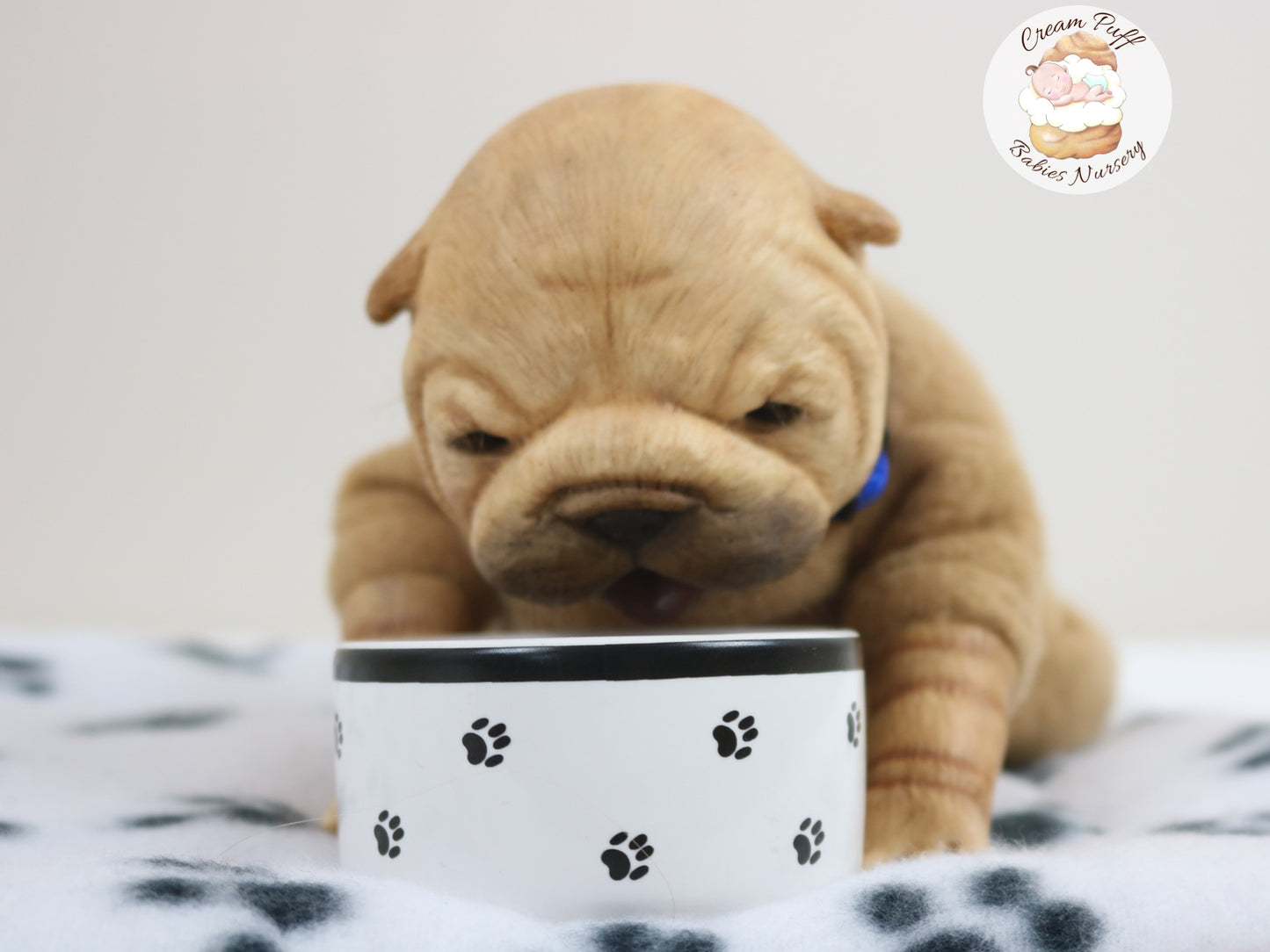 Shar Pei Bulldog Puppy Dog Baby Doll