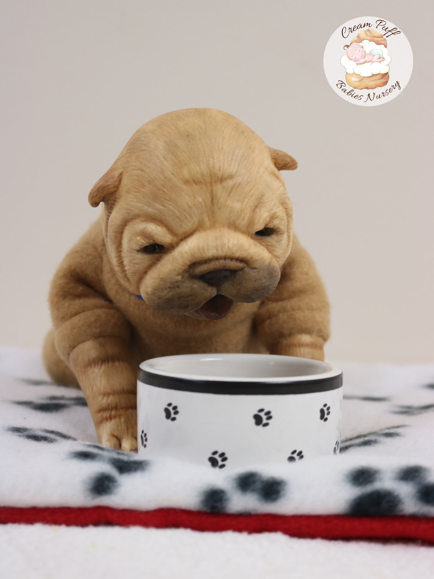 Shar Pei Bulldog Puppy Dog Baby Doll