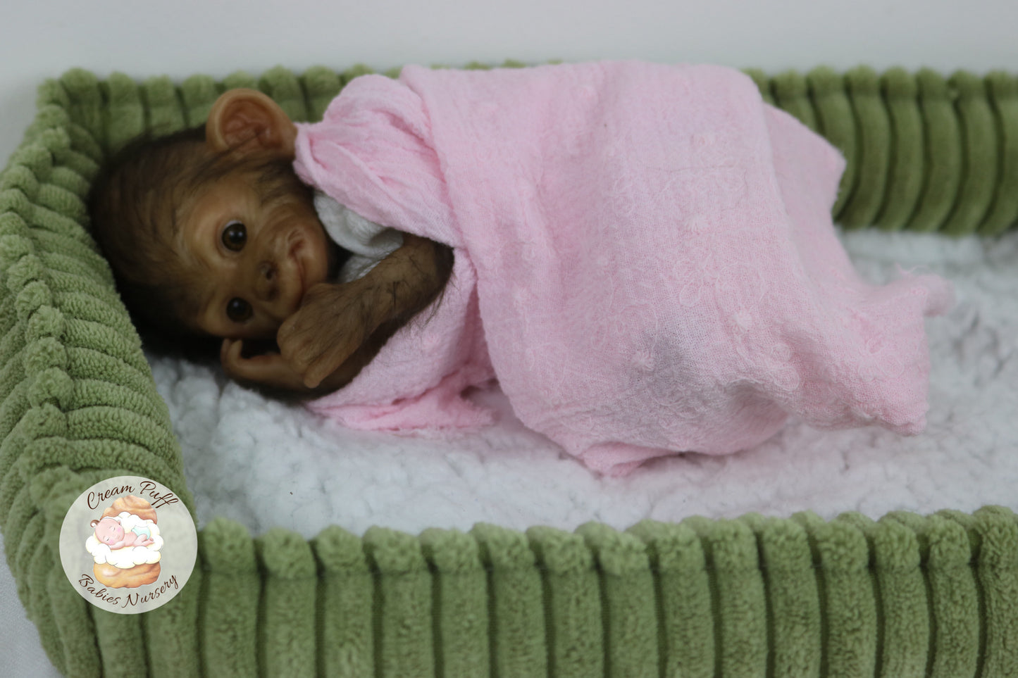 Baby Monkey Anna Banana