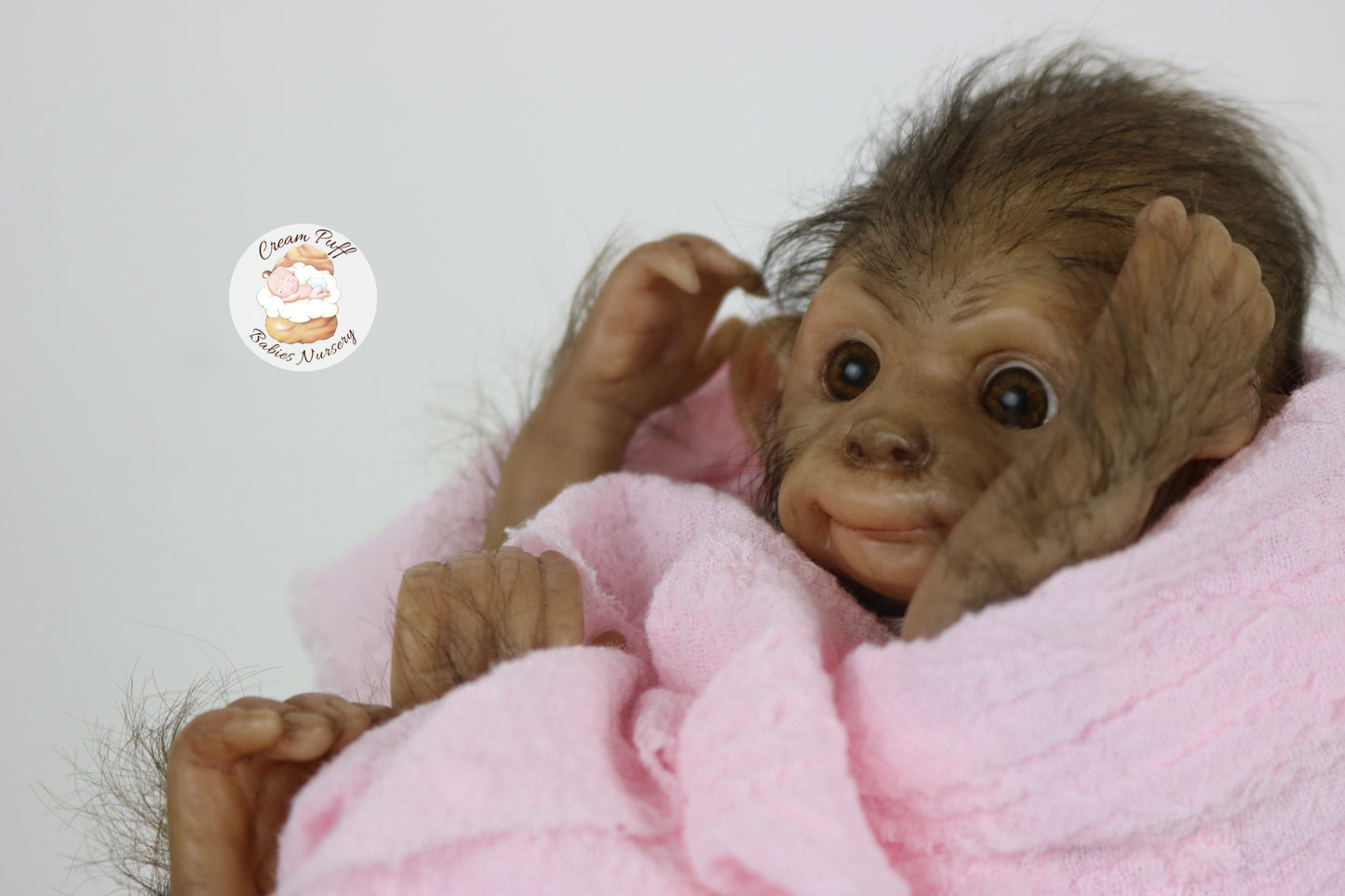 Baby Monkey Anna Banana