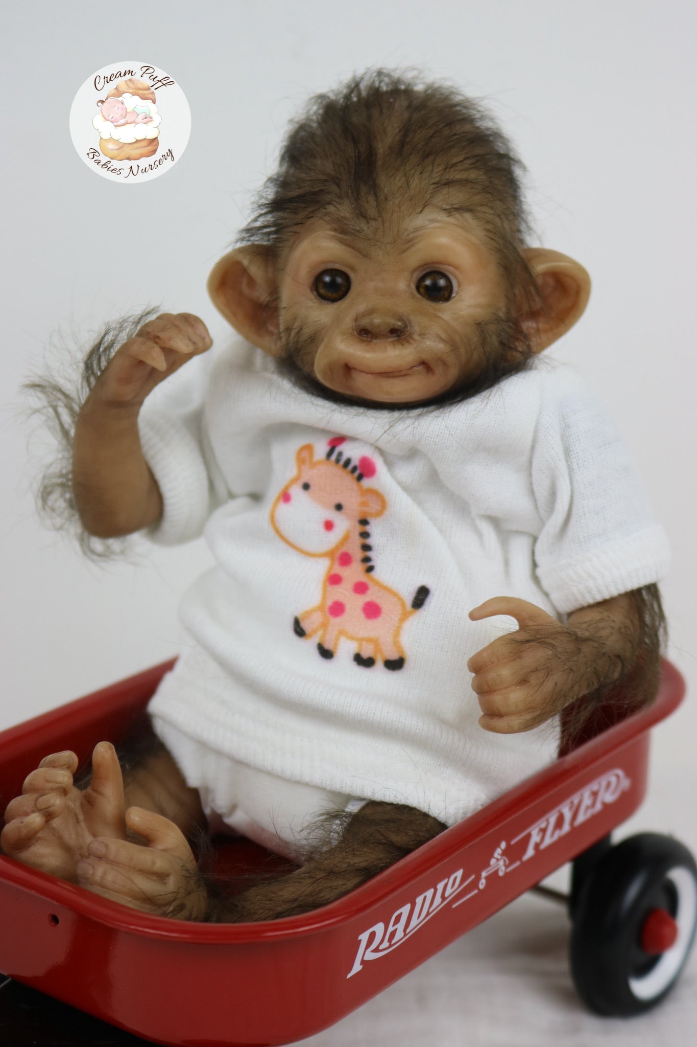 Baby Monkey Anna Banana