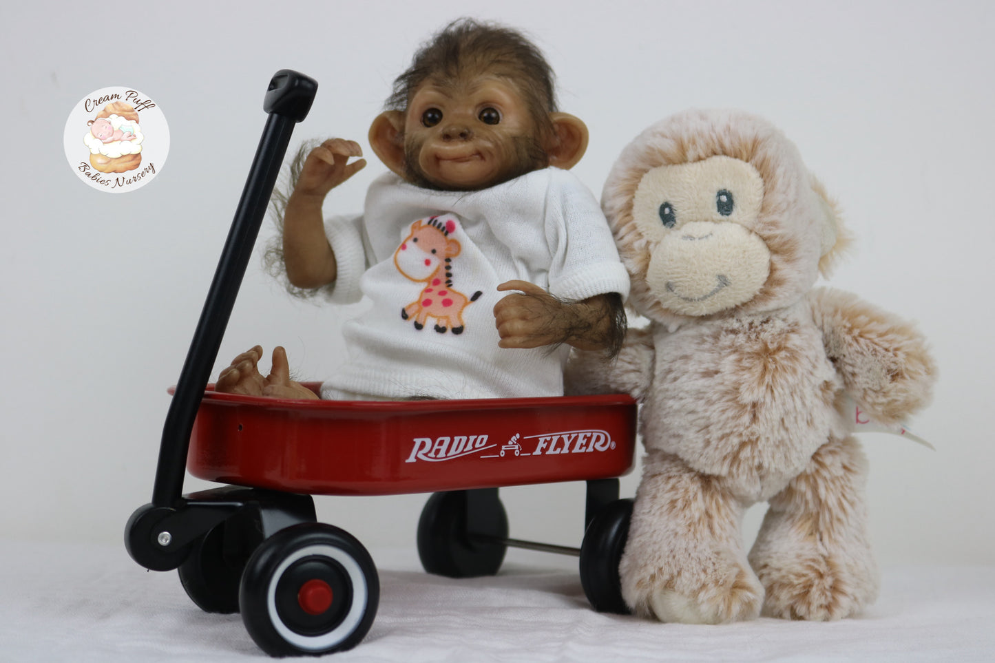 Baby Monkey Anna Banana