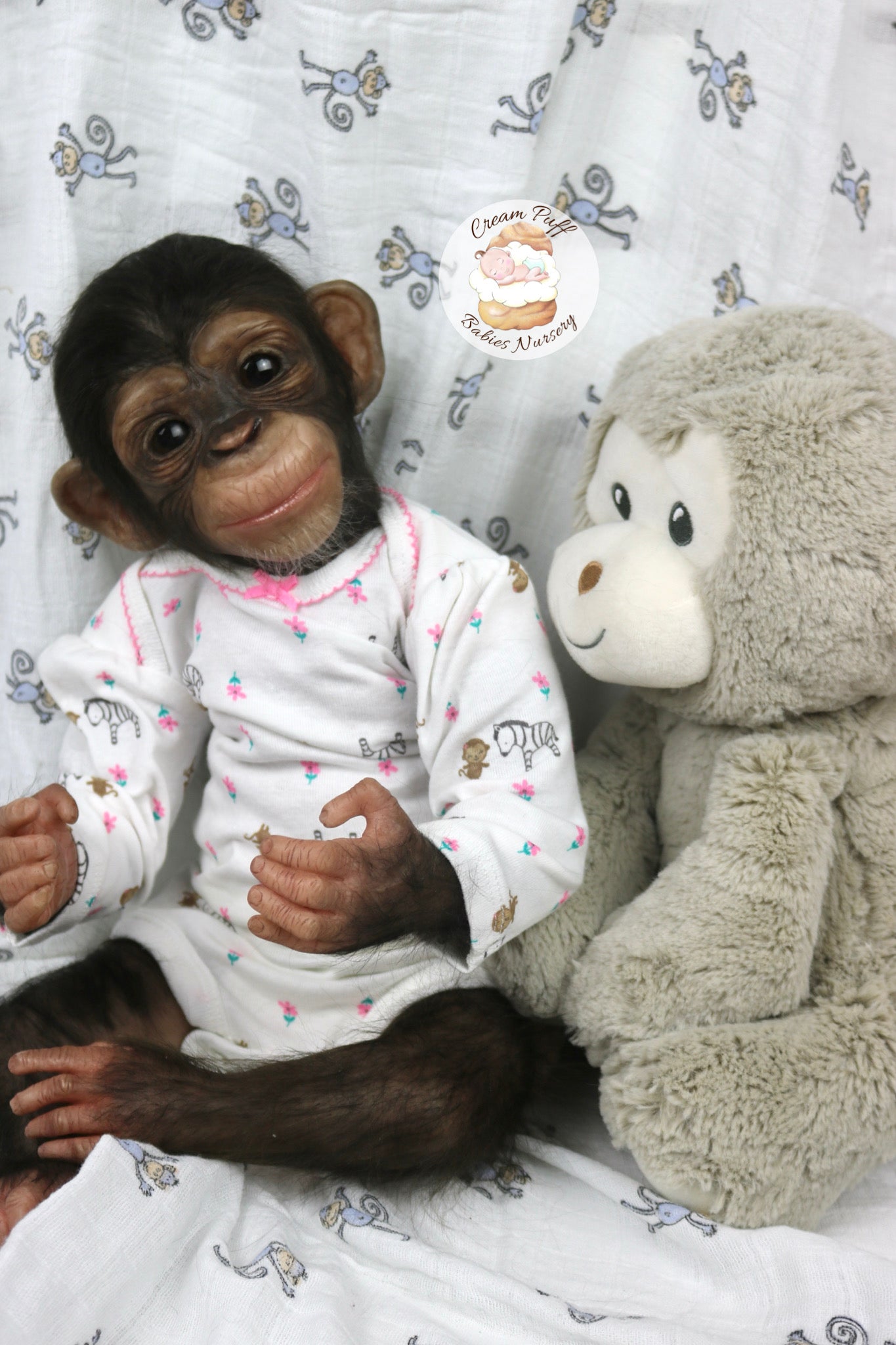 Baby Chimpanzee