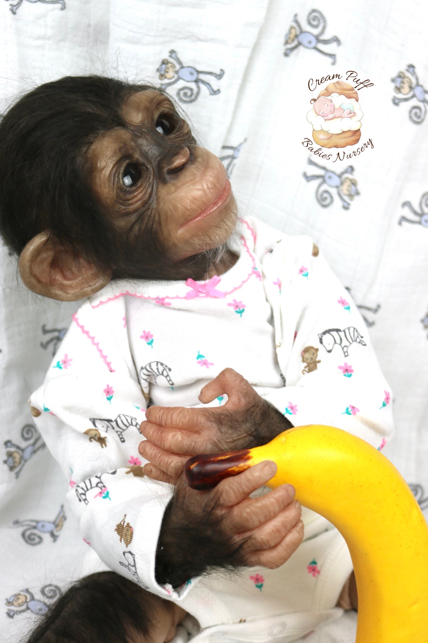 Baby Chimpanzee