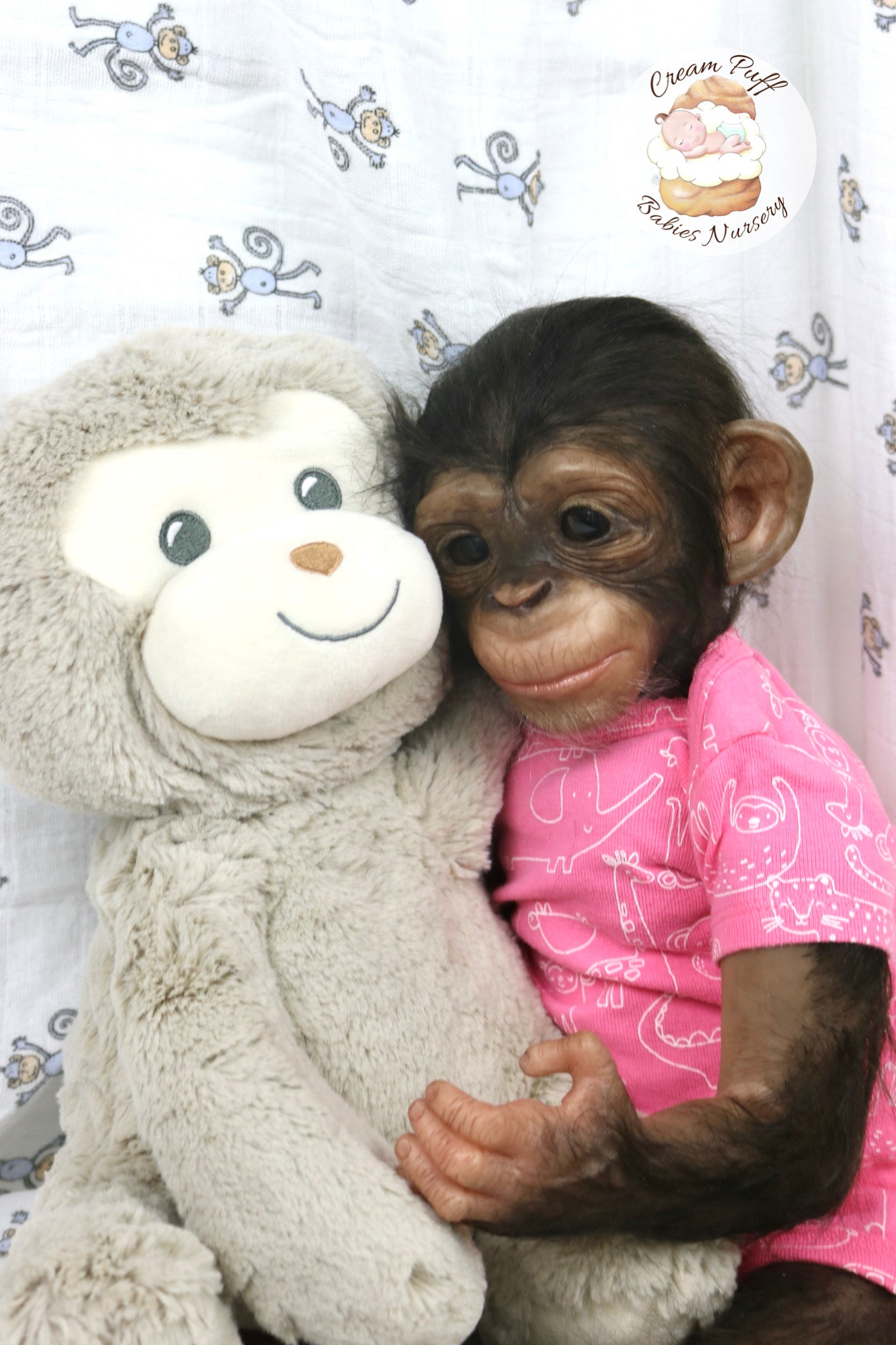 Baby Chimpanzee