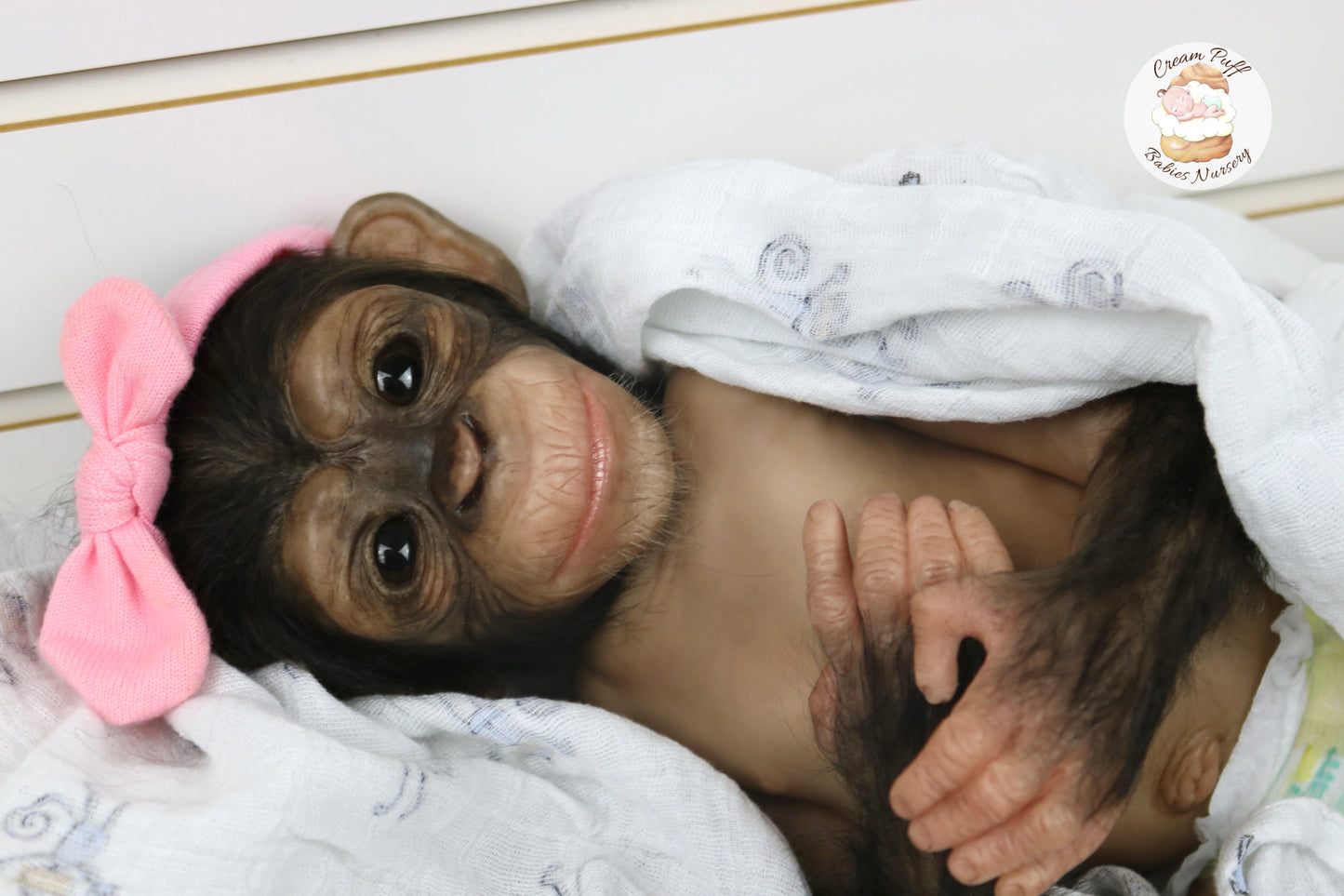 Baby Chimpanzee