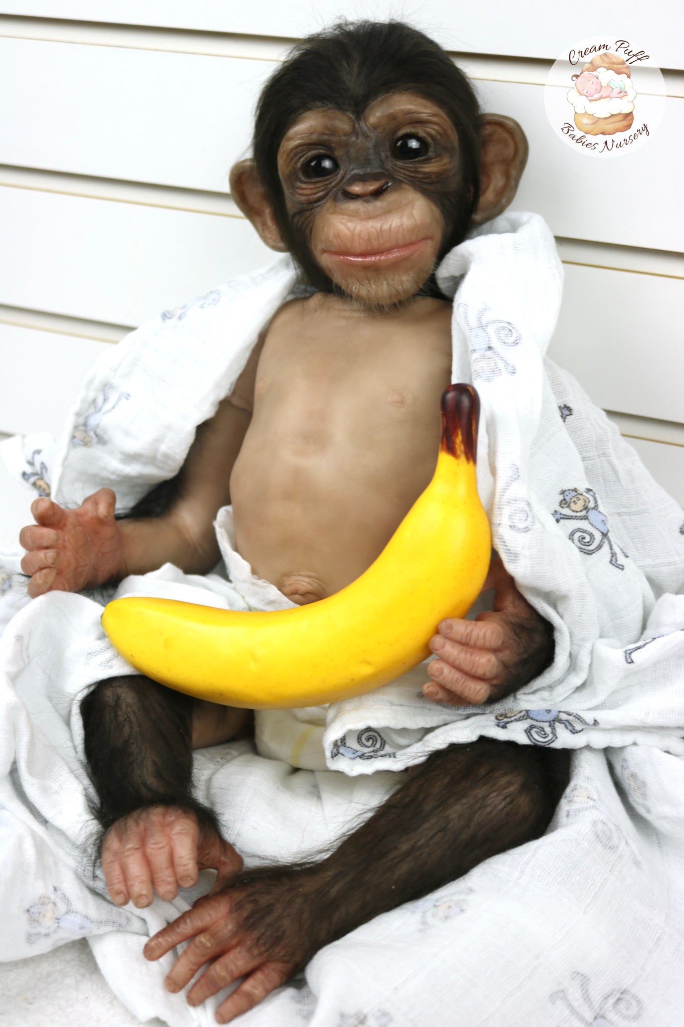 Baby Chimpanzee