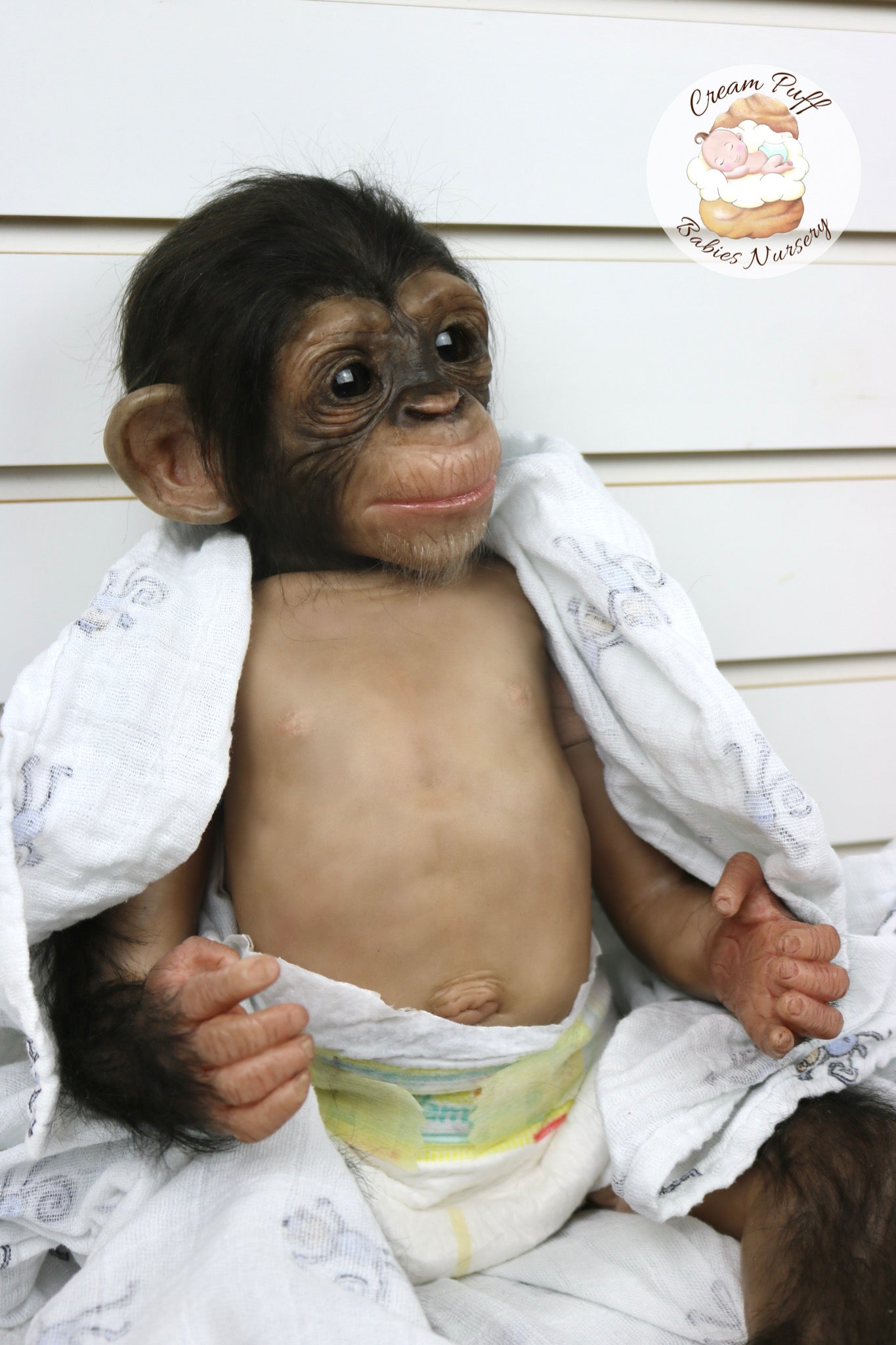 Baby Chimpanzee