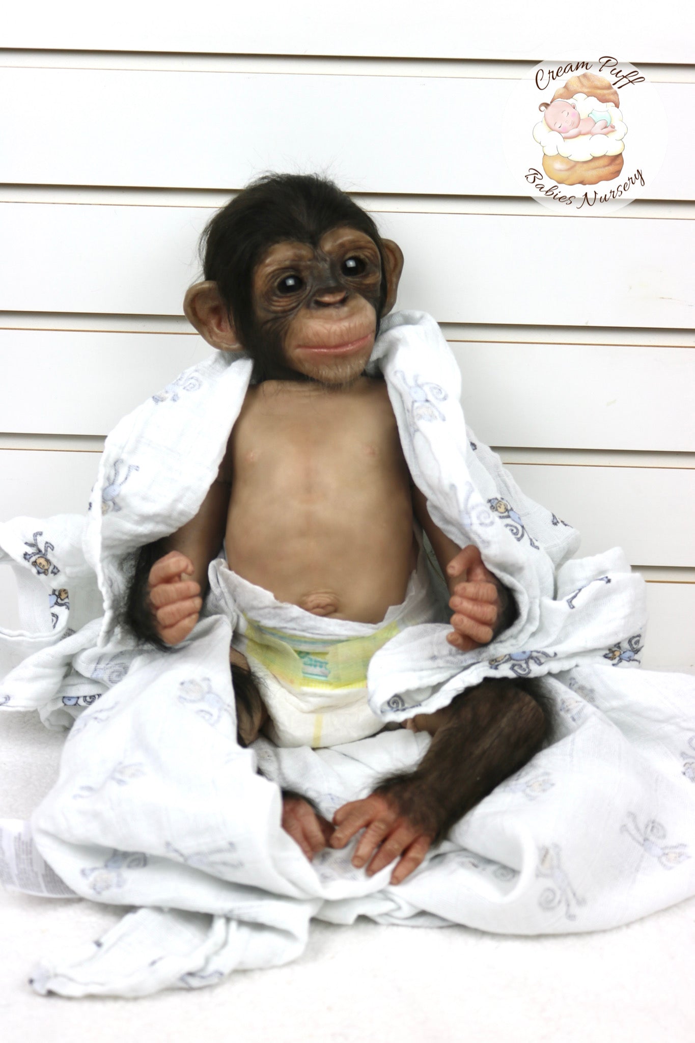 Baby Chimpanzee