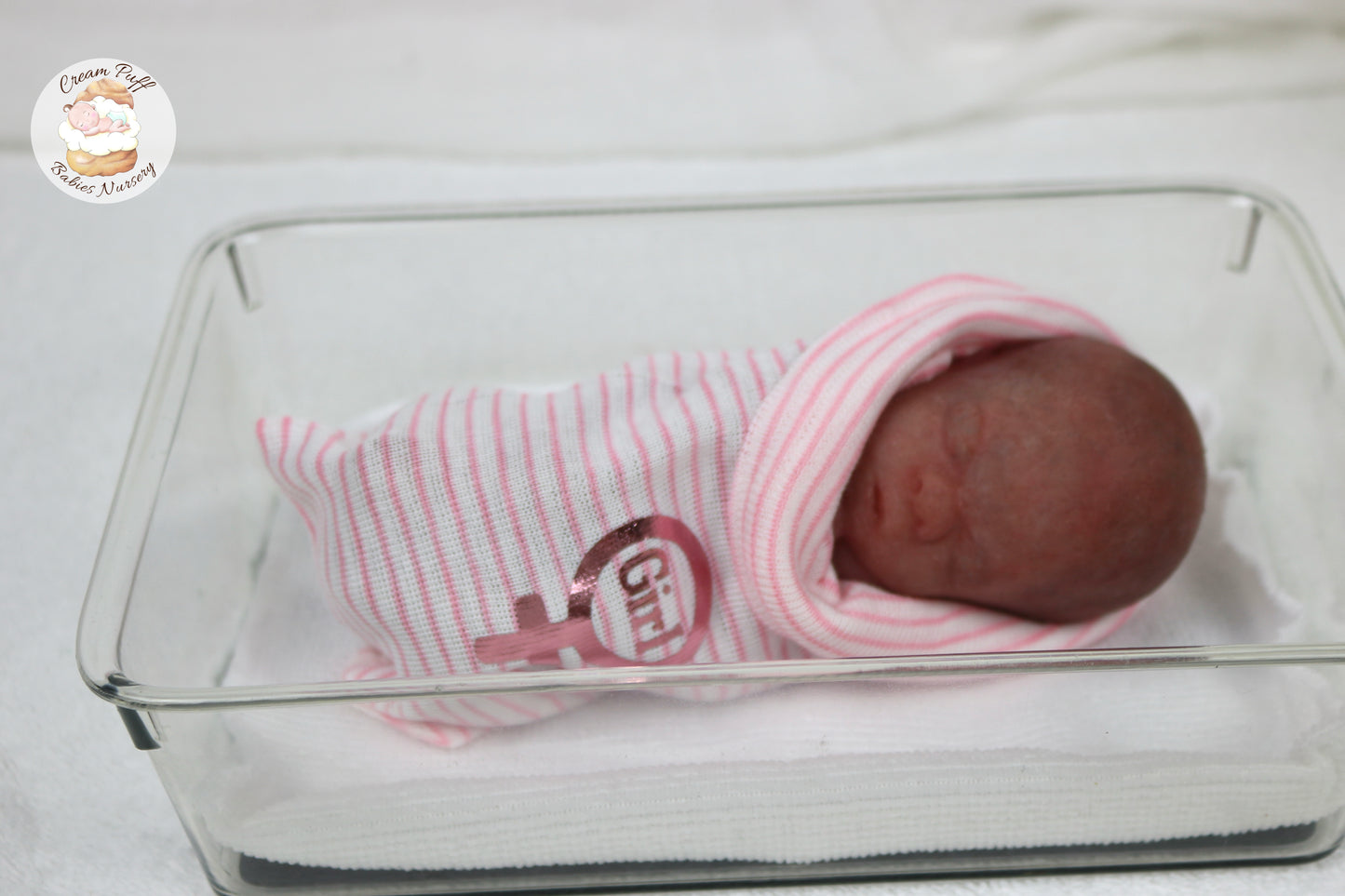 Reborn Silicone Fetus Micro Preemie Baby Girl Memorial Doll 22 Week Gestation