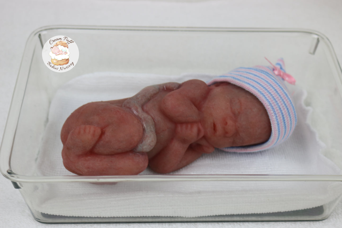 Reborn Silicone Fetus Micro Preemie Baby Girl Memorial Doll 22 Week Gestation