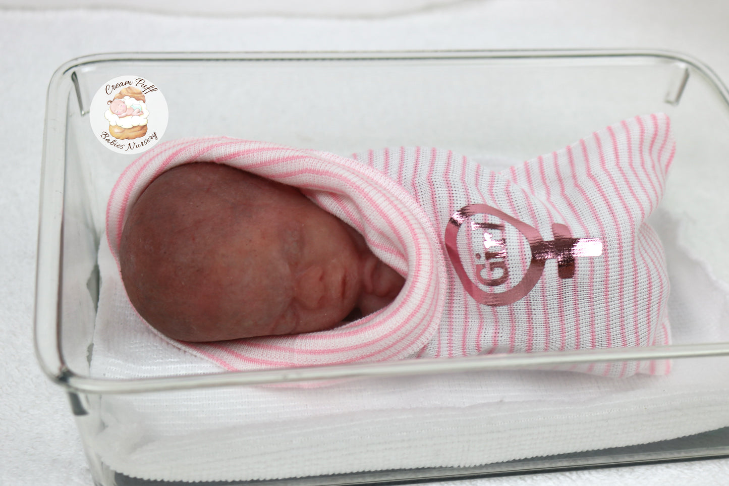 Reborn Silicone Fetus Micro Preemie Baby Girl Memorial Doll 22 Week Gestation