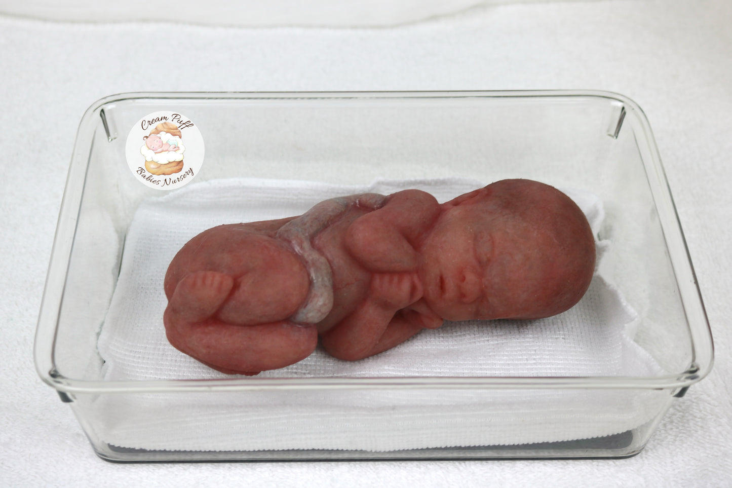 Reborn Silicone Fetus Micro Preemie Baby Girl Memorial Doll 22 Week Gestation