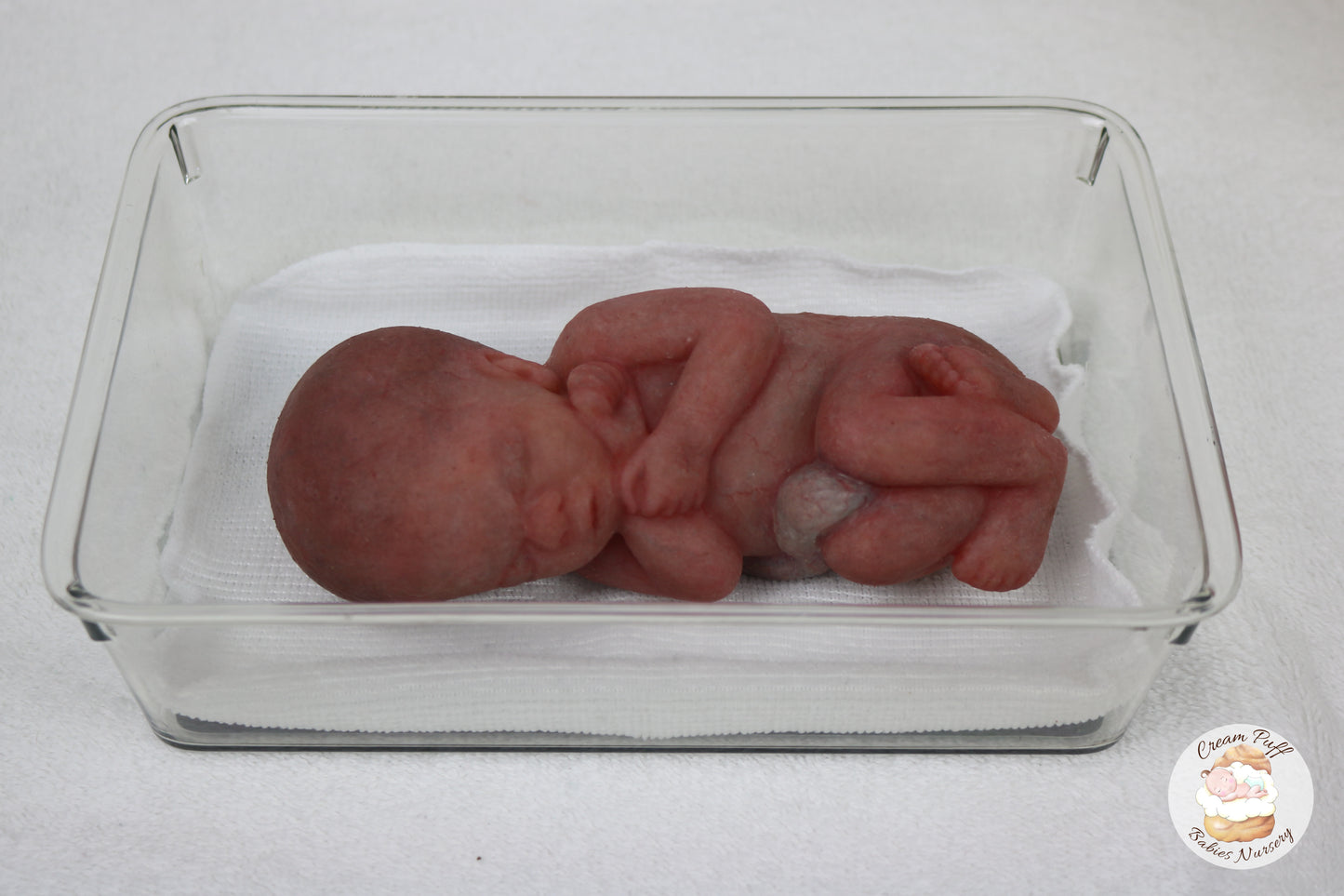 Reborn Silicone Fetus Micro Preemie Baby Girl Memorial Doll 22 Week Gestation