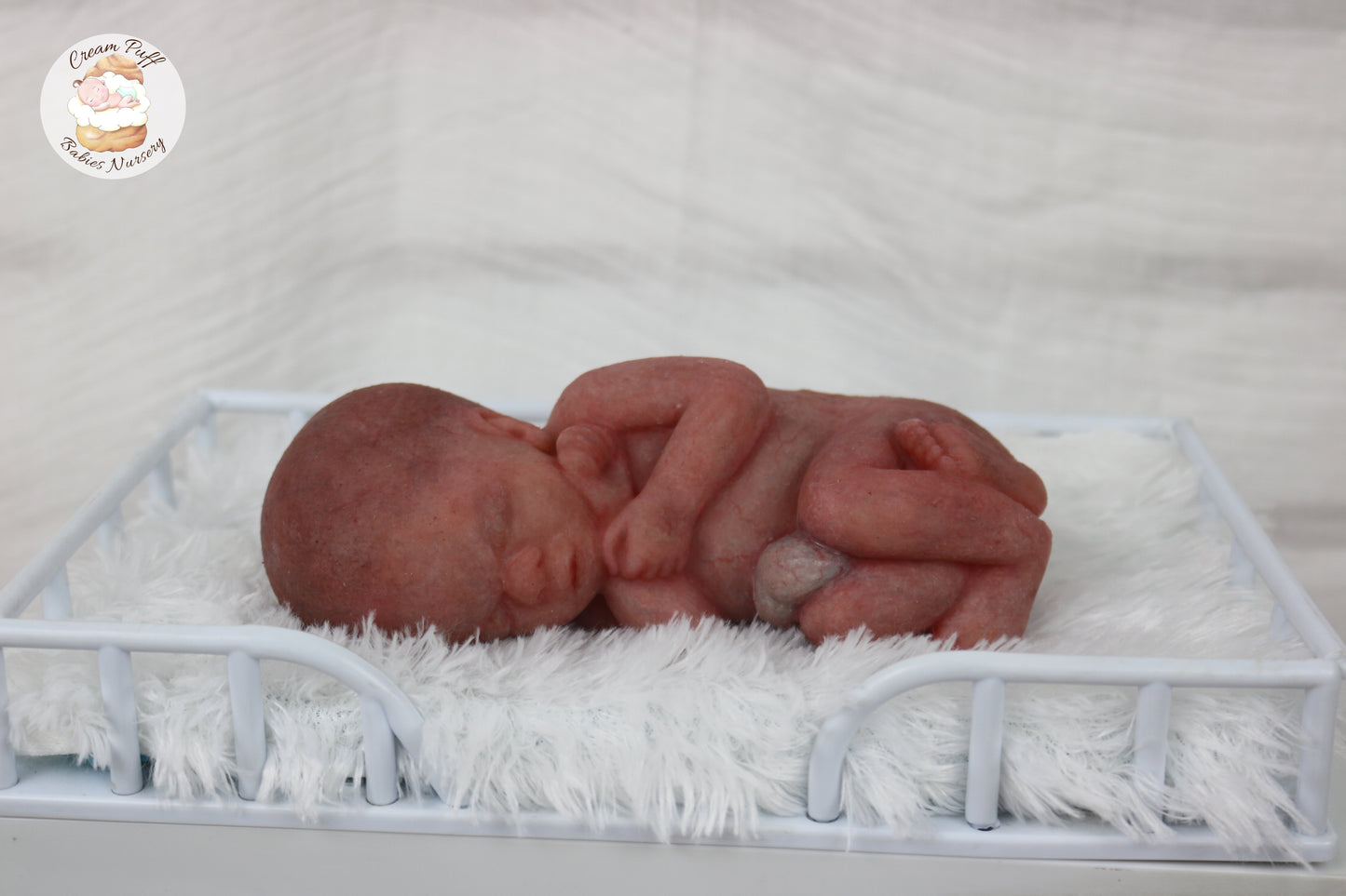 Reborn Silicone Fetus Micro Preemie Baby Girl Memorial Doll 22 Week Gestation