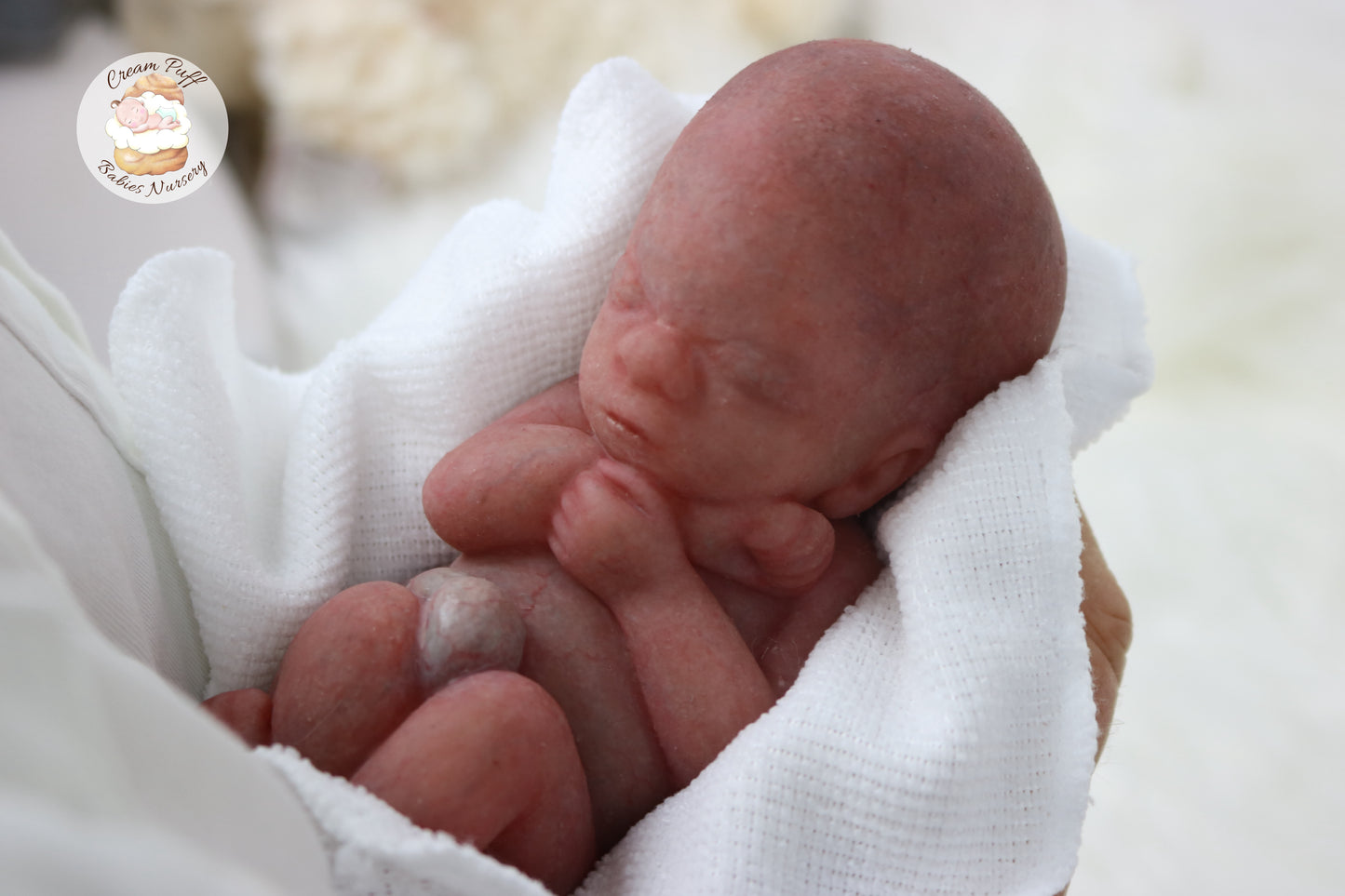 Reborn Silicone Fetus Micro Preemie Baby Girl Memorial Doll 22 Week Gestation