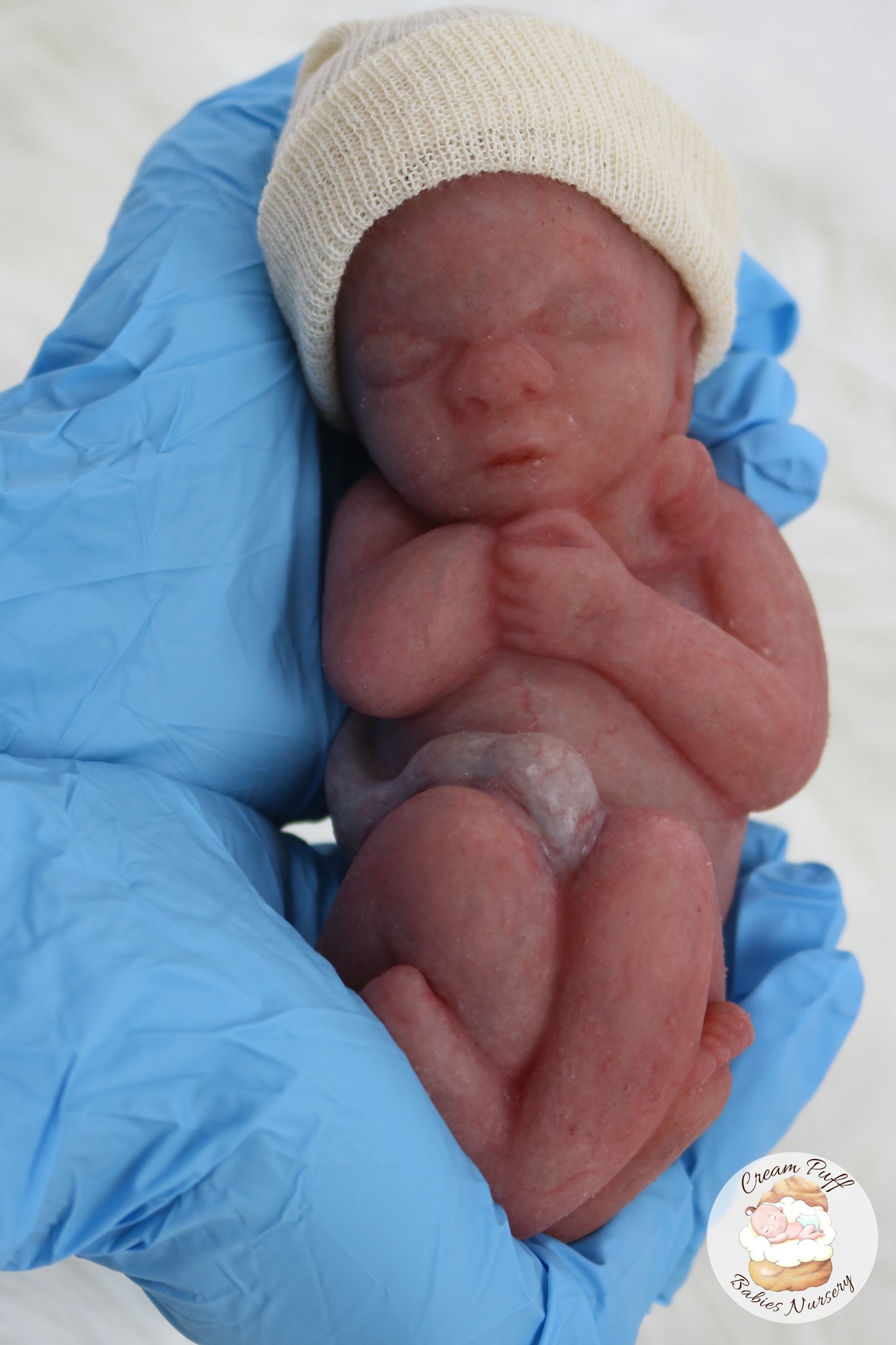 Reborn Silicone Fetus Micro Preemie Baby Girl Memorial Doll 22 Week Gestation