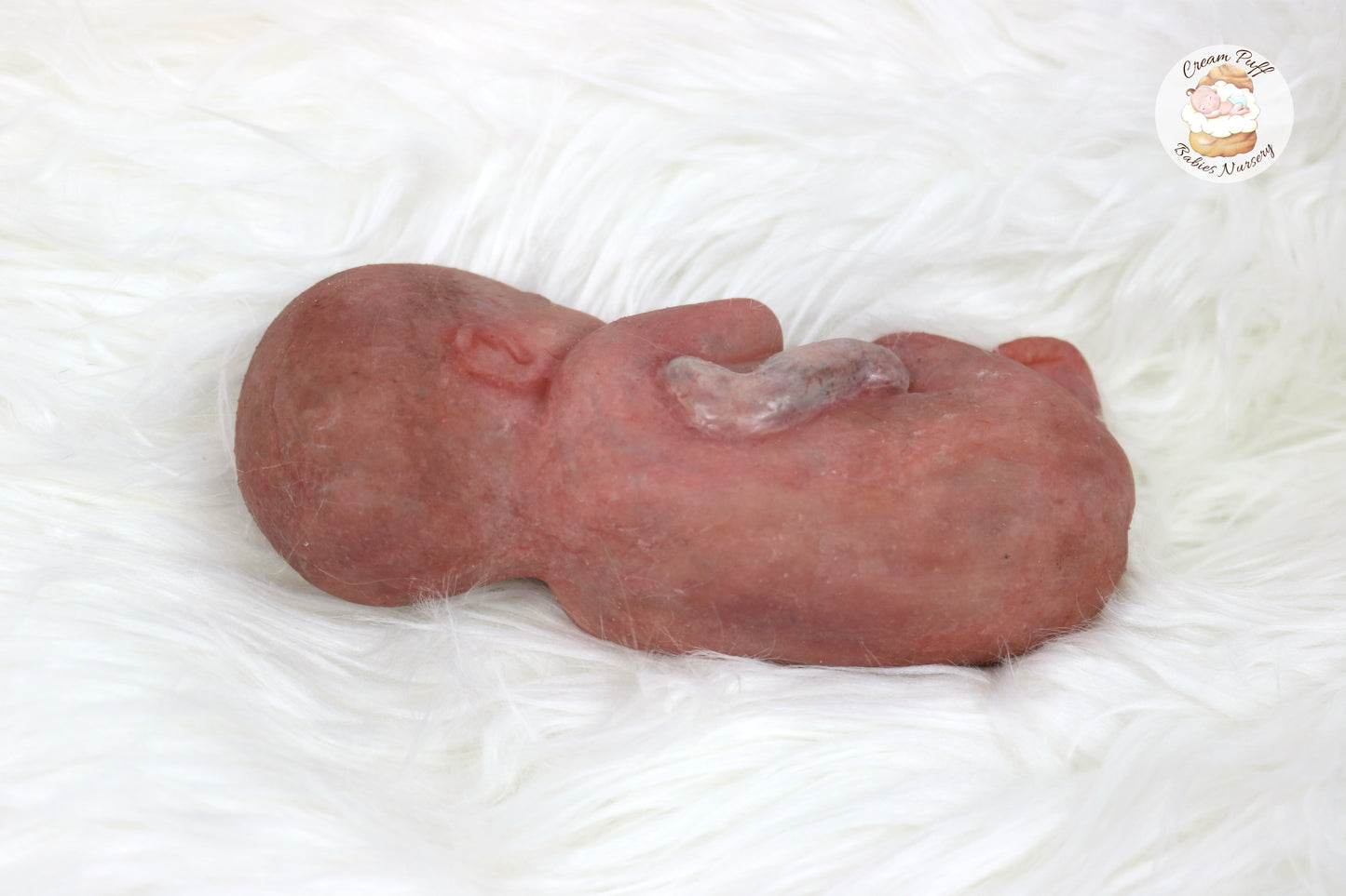 Reborn Silicone Fetus Micro Preemie Baby Girl Memorial Doll 22 Week Gestation