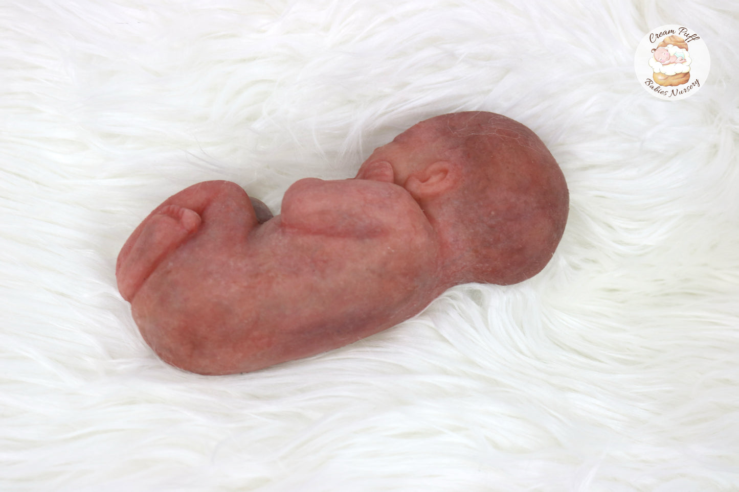 Reborn Silicone Fetus Micro Preemie Baby Girl Memorial Doll 22 Week Gestation