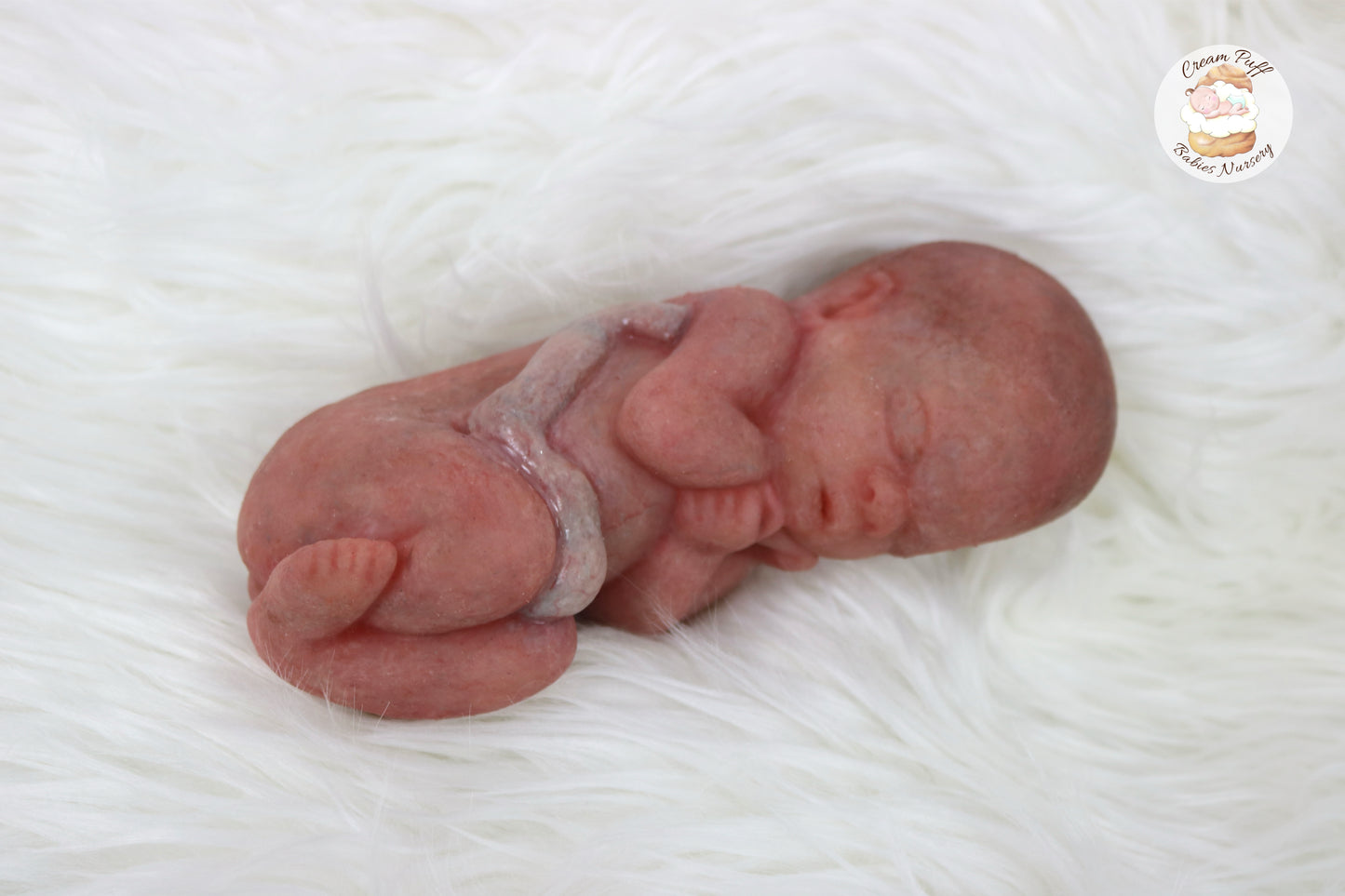 Reborn Silicone Fetus Micro Preemie Baby Girl Memorial Doll 22 Week Gestation