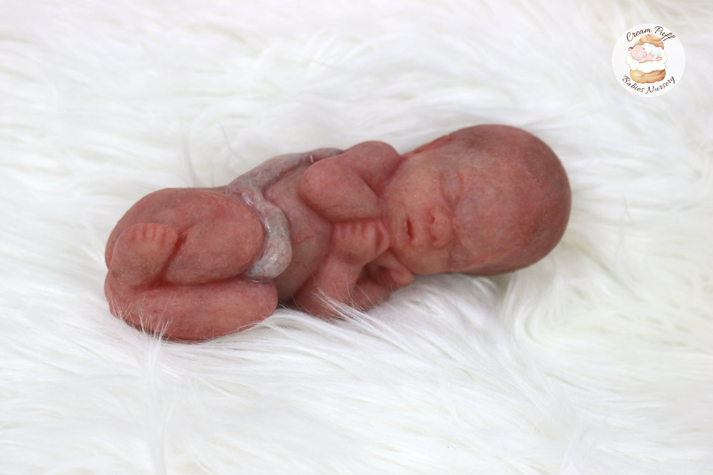 Reborn Silicone Fetus Micro Preemie Baby Girl Memorial Doll 22 Week Gestation
