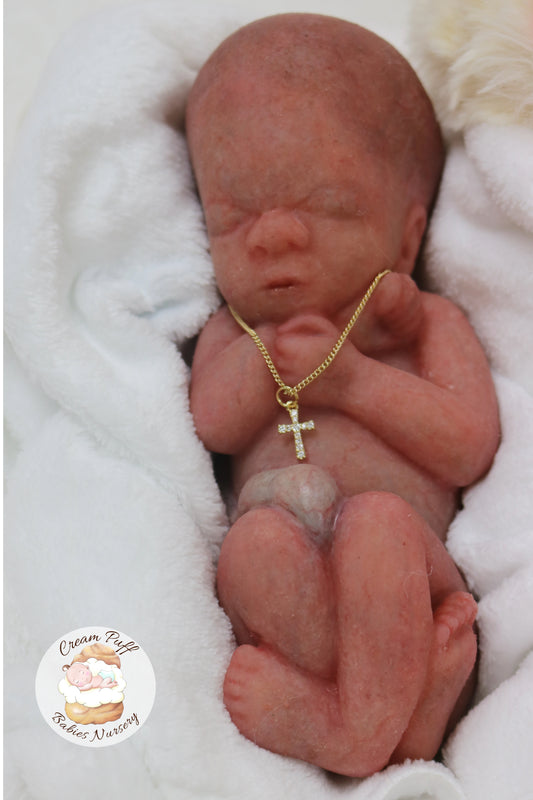 Reborn Silicone Fetus Micro Preemie Baby Girl Memorial Doll 22 Week Gestation