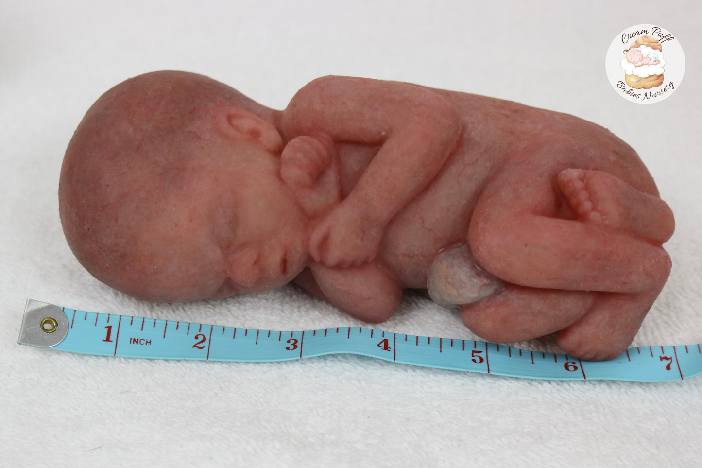 Reborn Silicone Fetus Micro Preemie Baby Girl Memorial Doll 22 Week Gestation