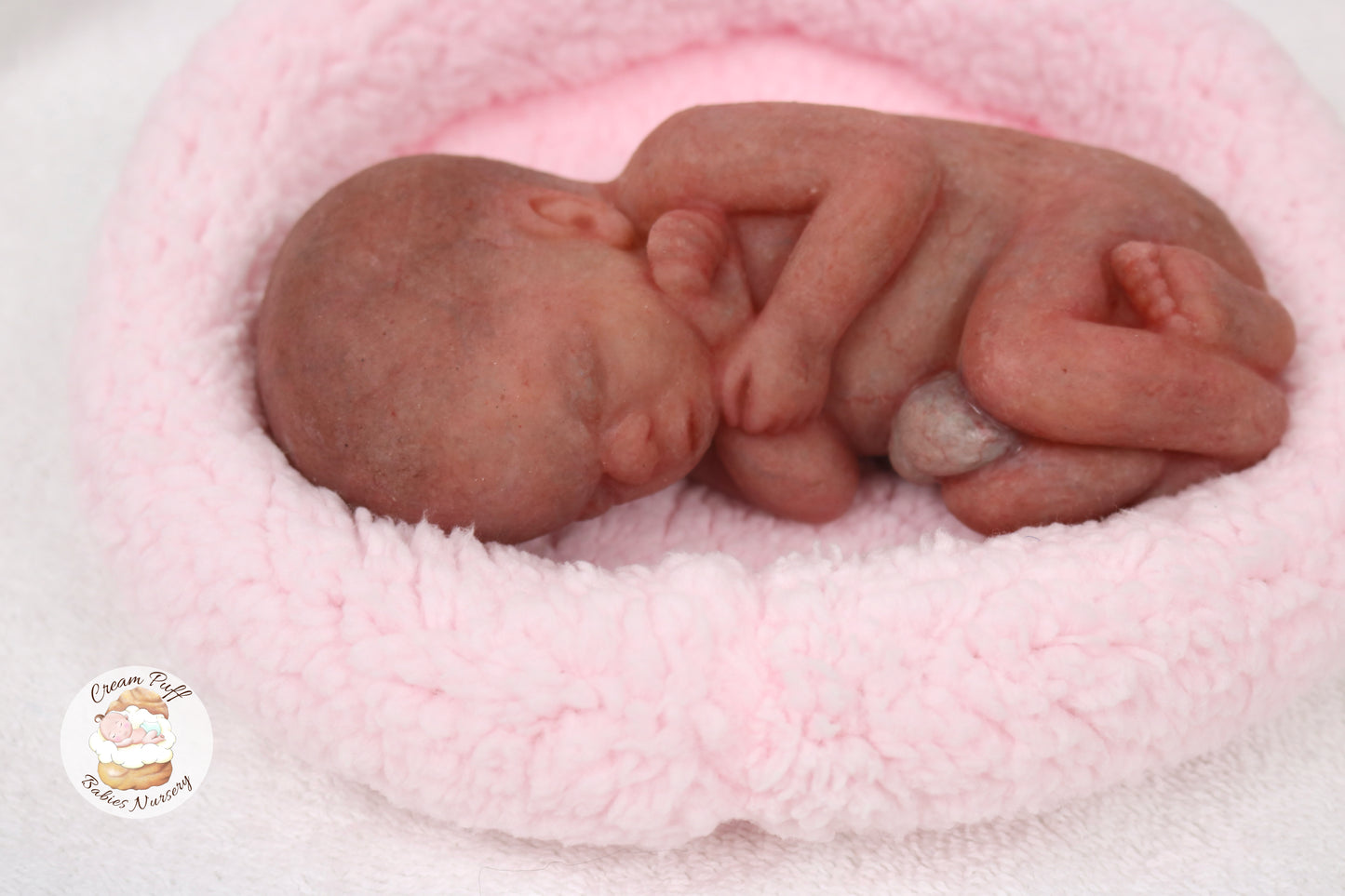 Reborn Silicone Fetus Micro Preemie Baby Girl Memorial Doll 22 Week Gestation