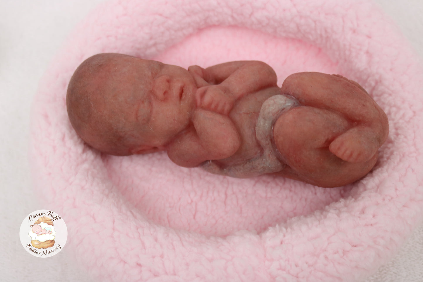 Reborn Silicone Fetus Micro Preemie Baby Girl Memorial Doll 22 Week Gestation