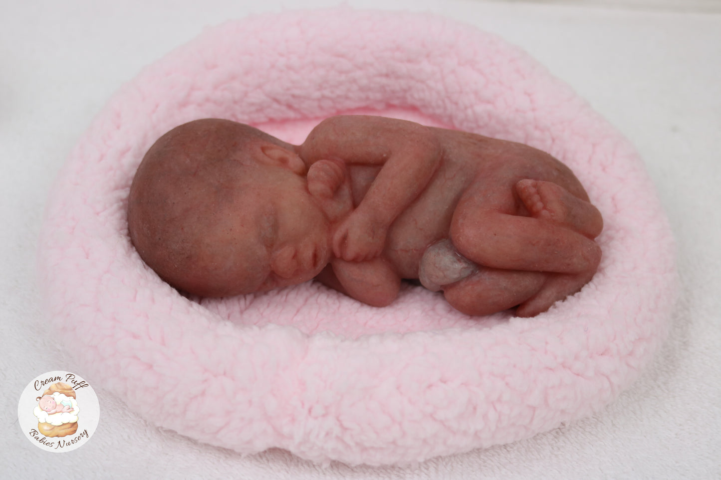 Reborn Silicone Fetus Micro Preemie Baby Girl Memorial Doll 22 Week Gestation
